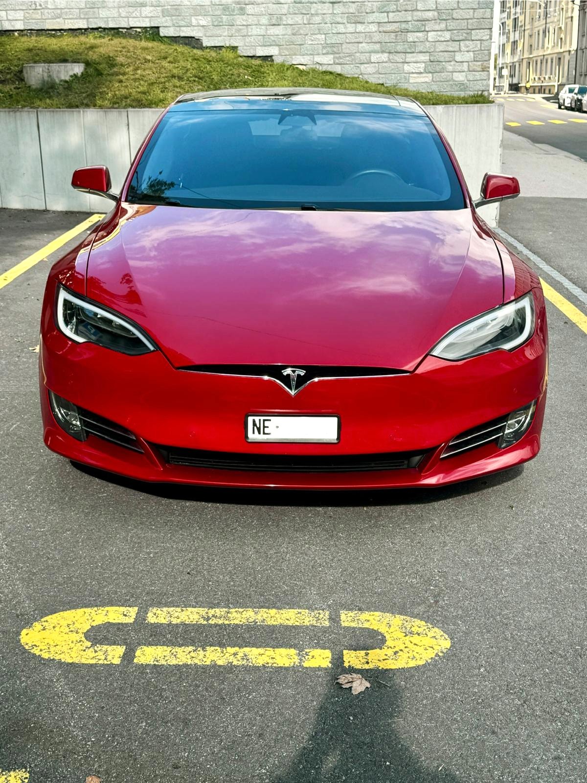 TESLA Model S 100 D-image-3