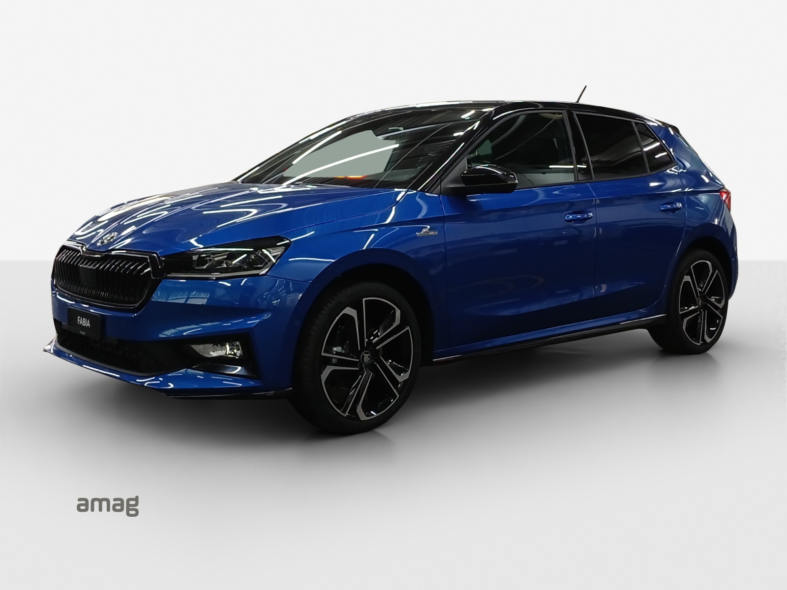 SKODA Fabia 1.0 TSI Monte Carlo DSG