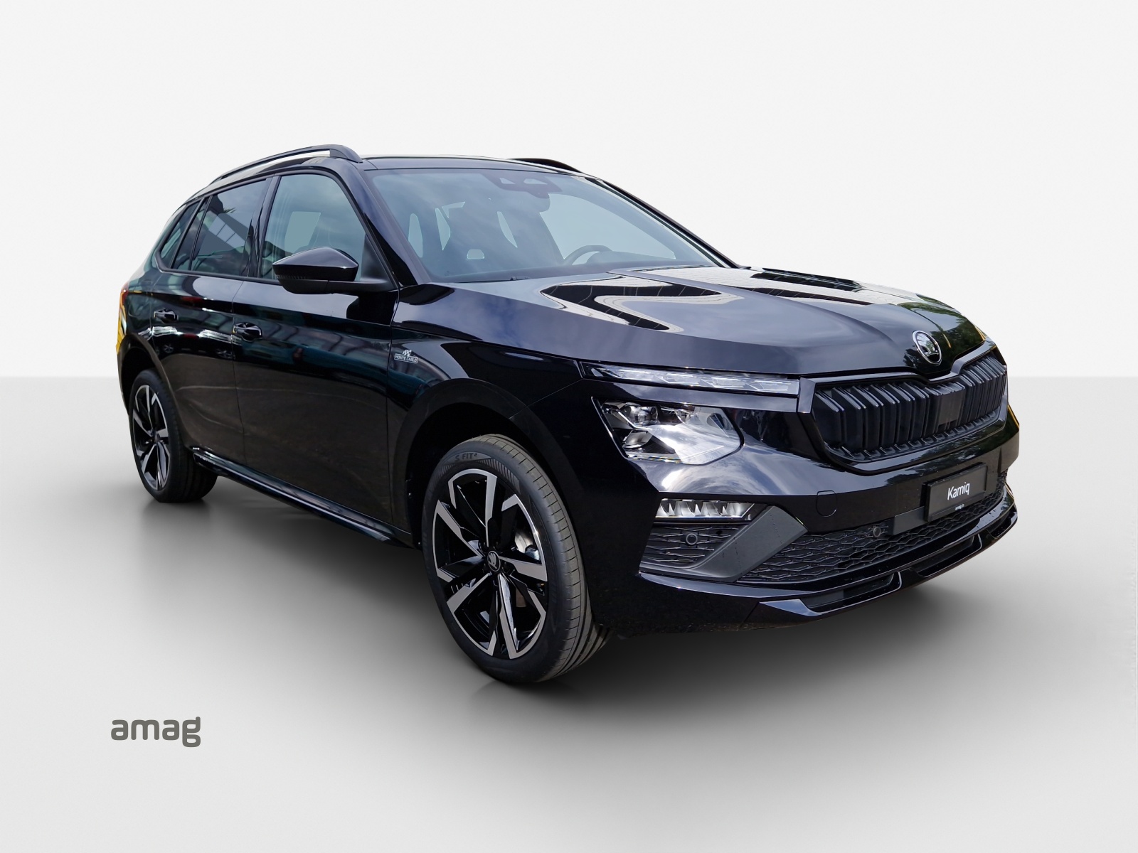 SKODA Kamiq 1.5 TSI Monte Carlo DSG-image-5