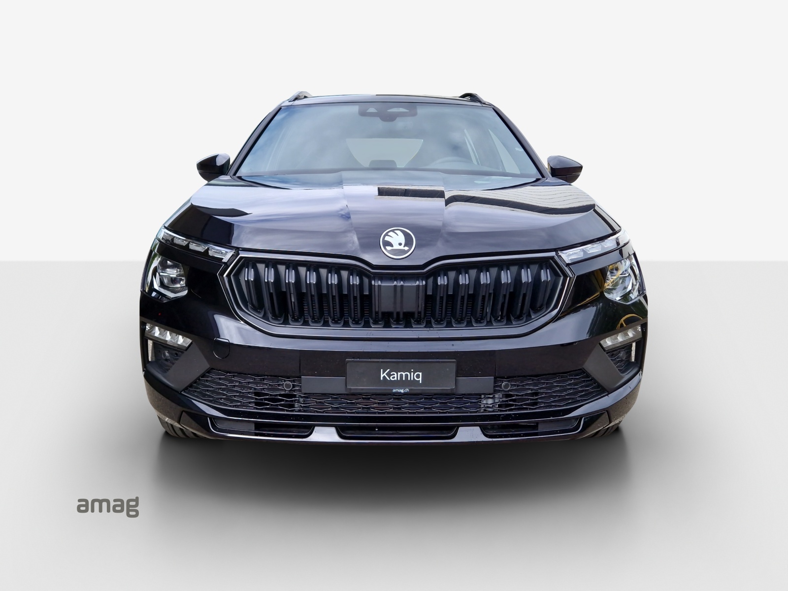 SKODA Kamiq 1.5 TSI Monte Carlo DSG-image-6