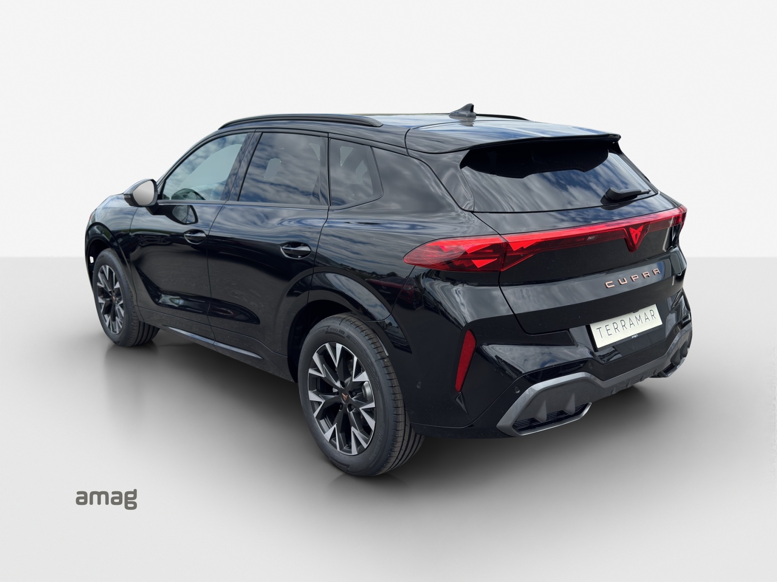 CUPRA Terramar 1.5 eTSI Prime Edition DSG-image-2