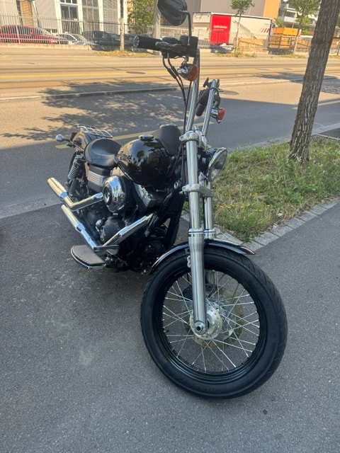 HARLEY-DAVIDSON FXDBI Dyna Street Bob