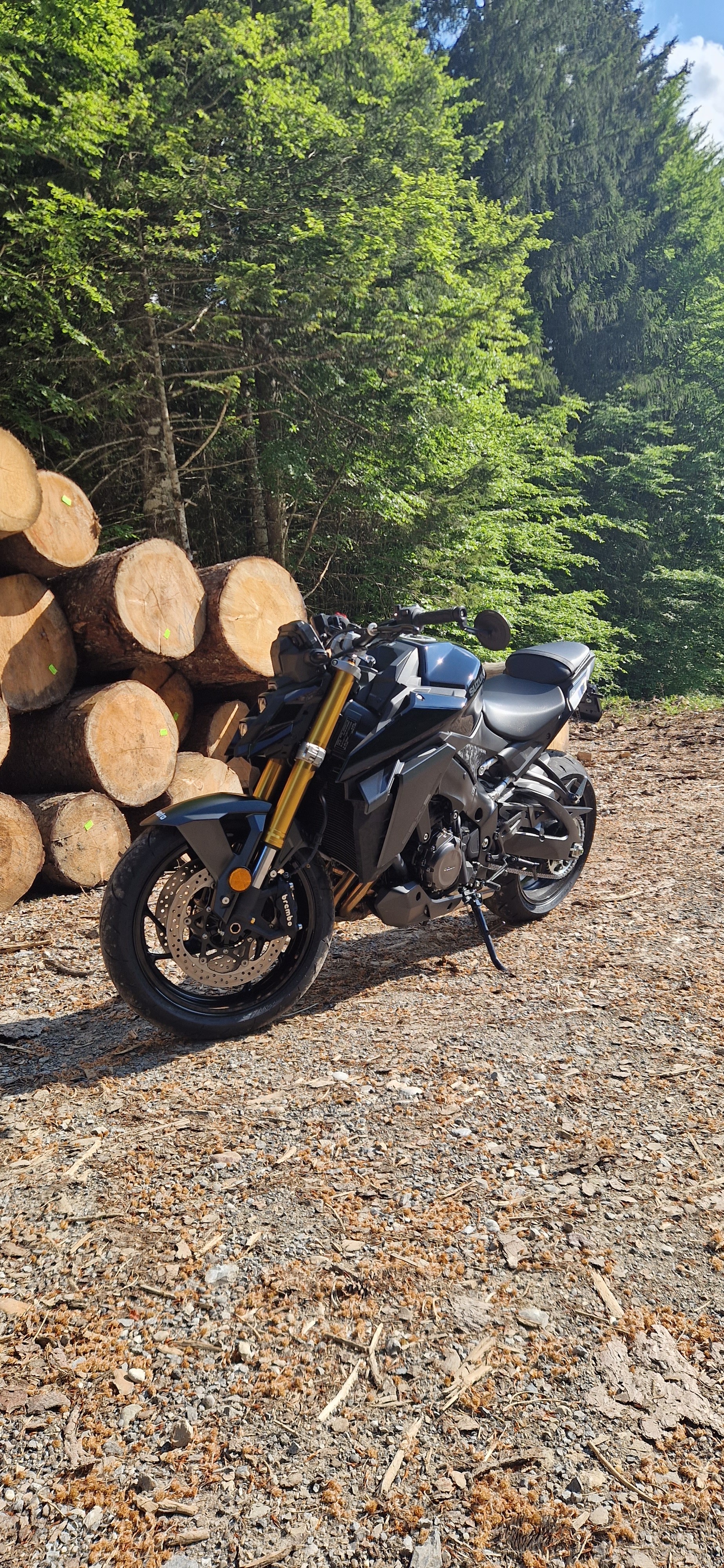 SUZUKI GSX-S 1000-image-6
