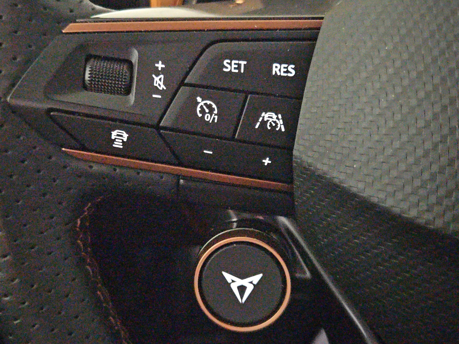 CUPRA Formentor 2.0TSI Tribe Edition 4Drive DSG-image-12