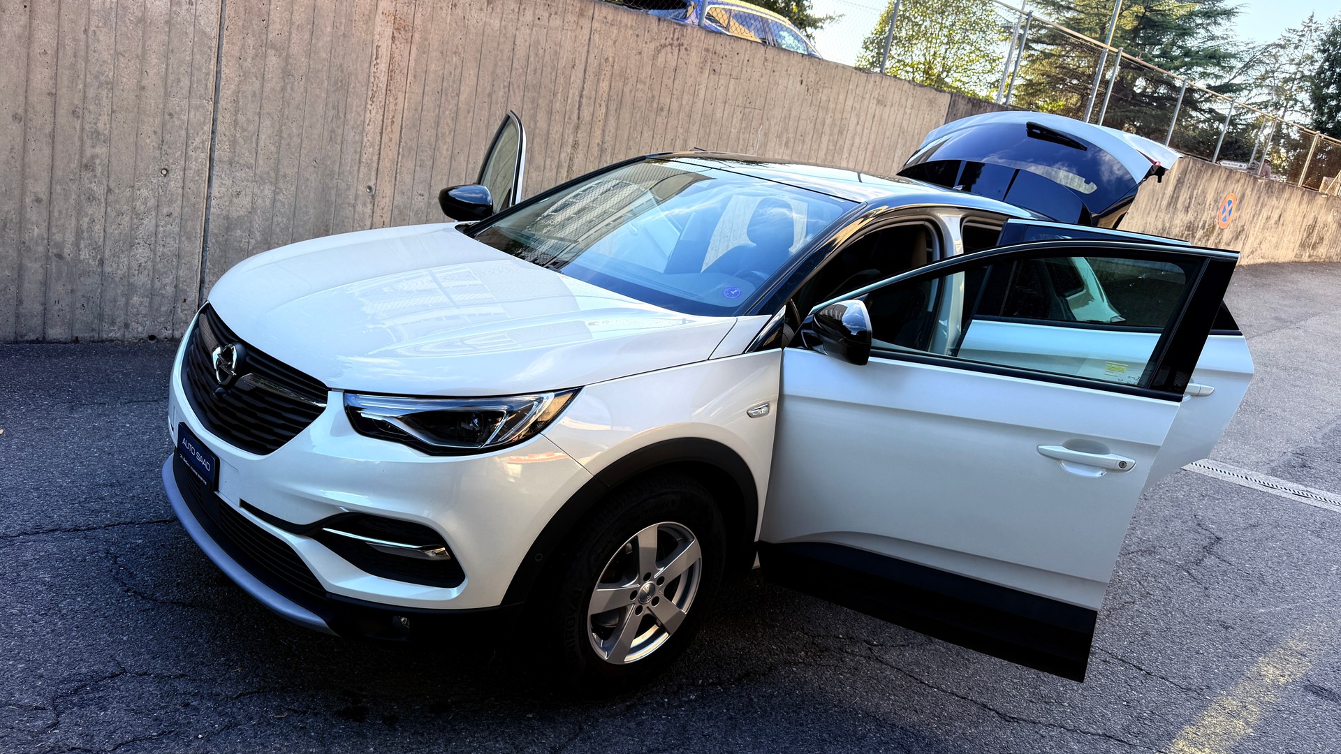 OPEL Grandland X 1.2i TP Excellence Automatik-image-14