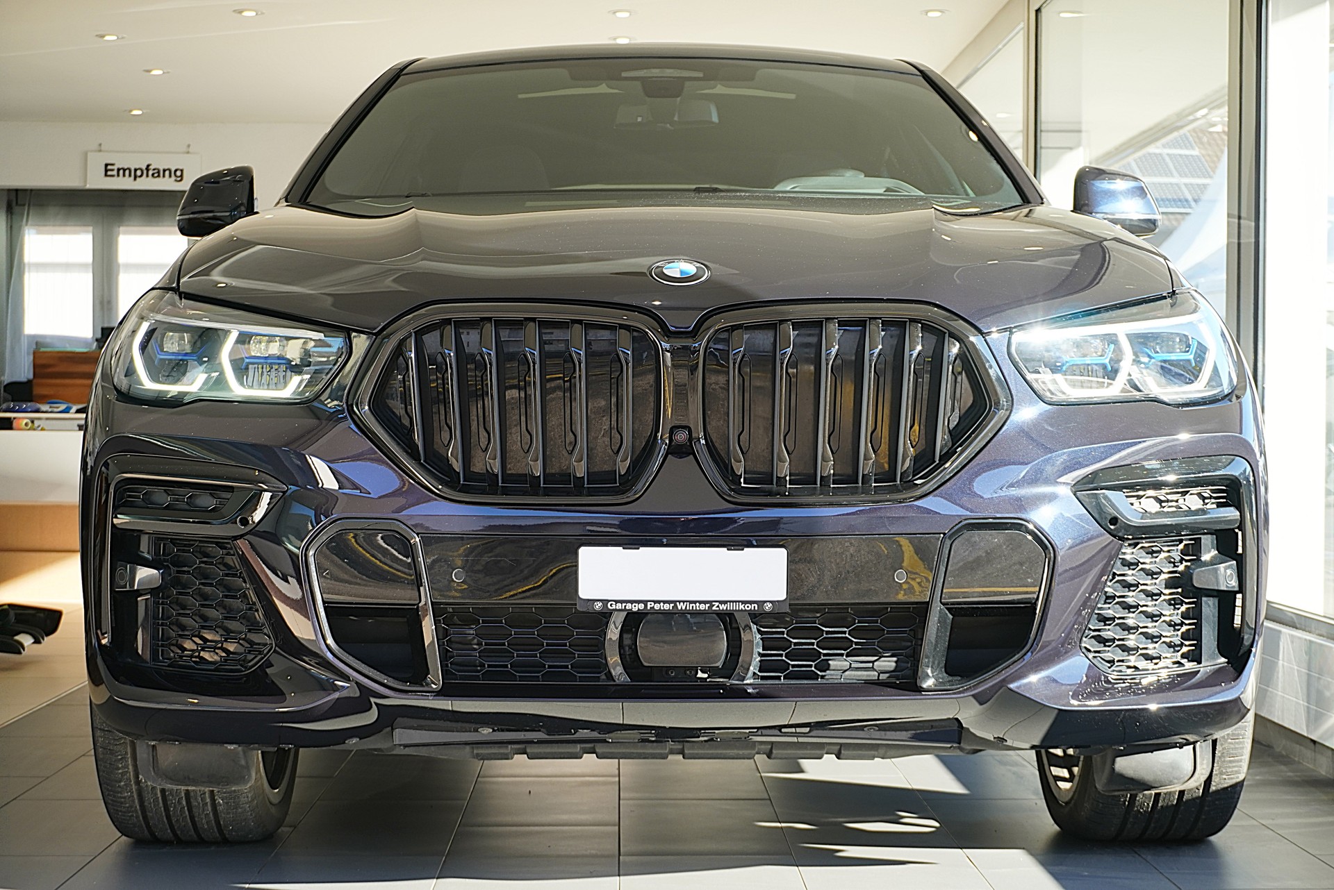 BMW X6 xDrive 48V 40d Steptronic M Sport-showroom-element-1