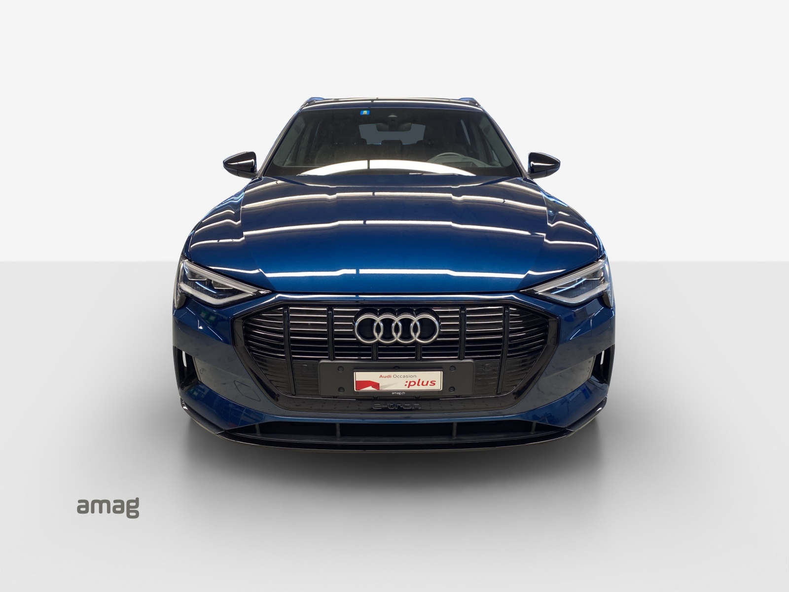 AUDI e-tron 55 Advanced quattro-image-6