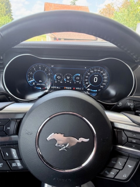 FORD Mustang GT V8 5.0 California Special-image-7