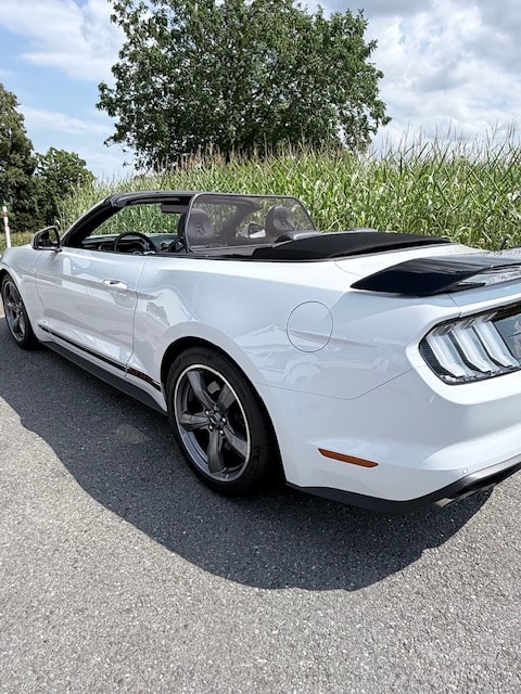 FORD Mustang GT V8 5.0 California Special-image-3