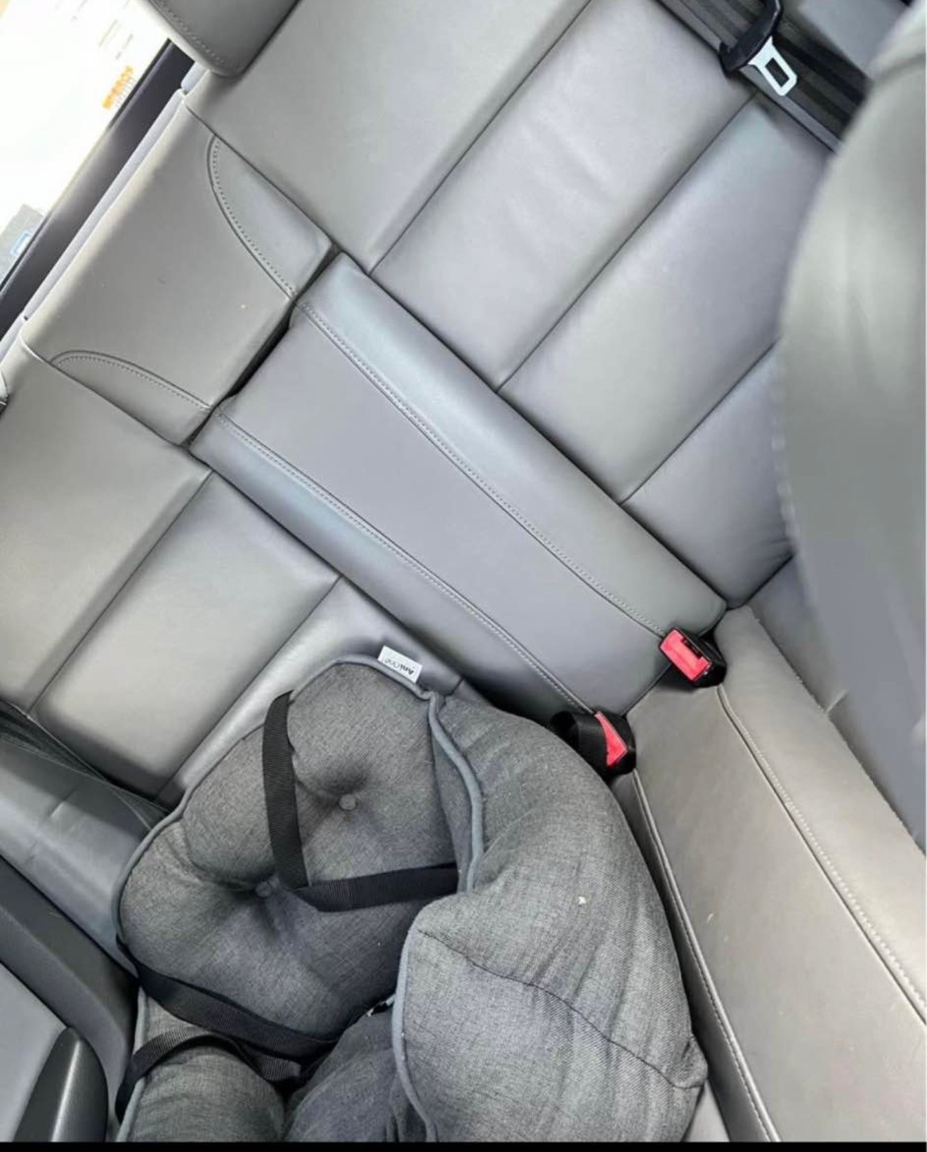 AUDI Turbo-image-3