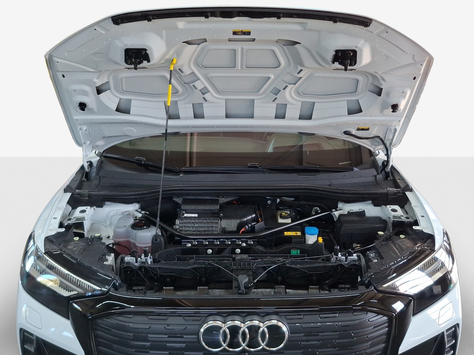 AUDI Q4 e-tron 55 quattro-image-15