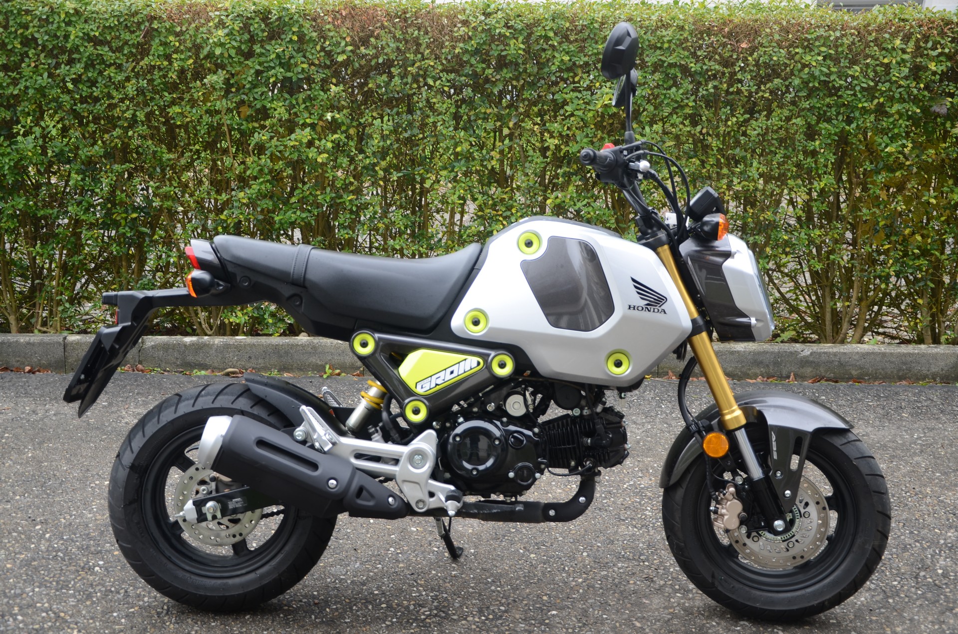 HONDA MSX 125-image-1