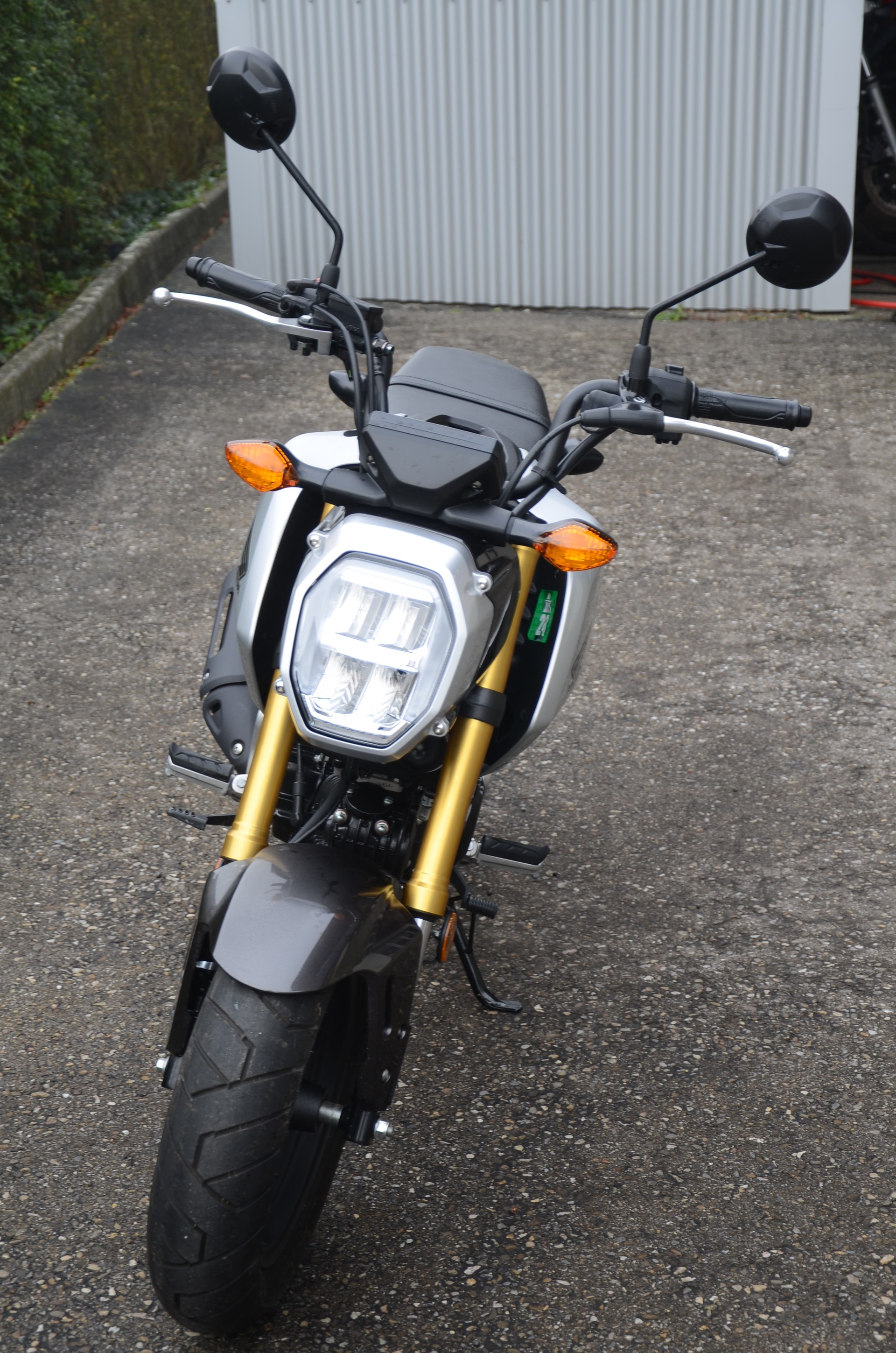 HONDA MSX 125-image-2