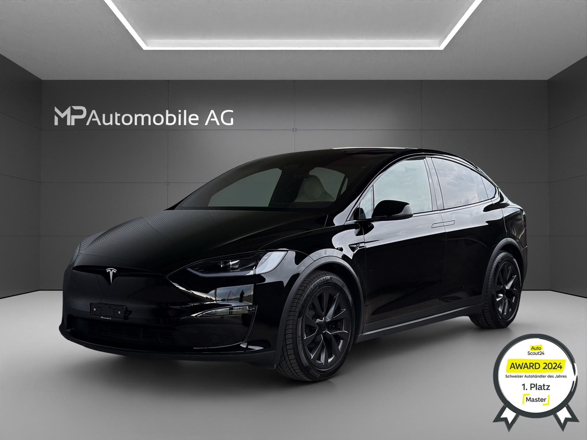 TESLA Model X 100kWh Palladium-image-1