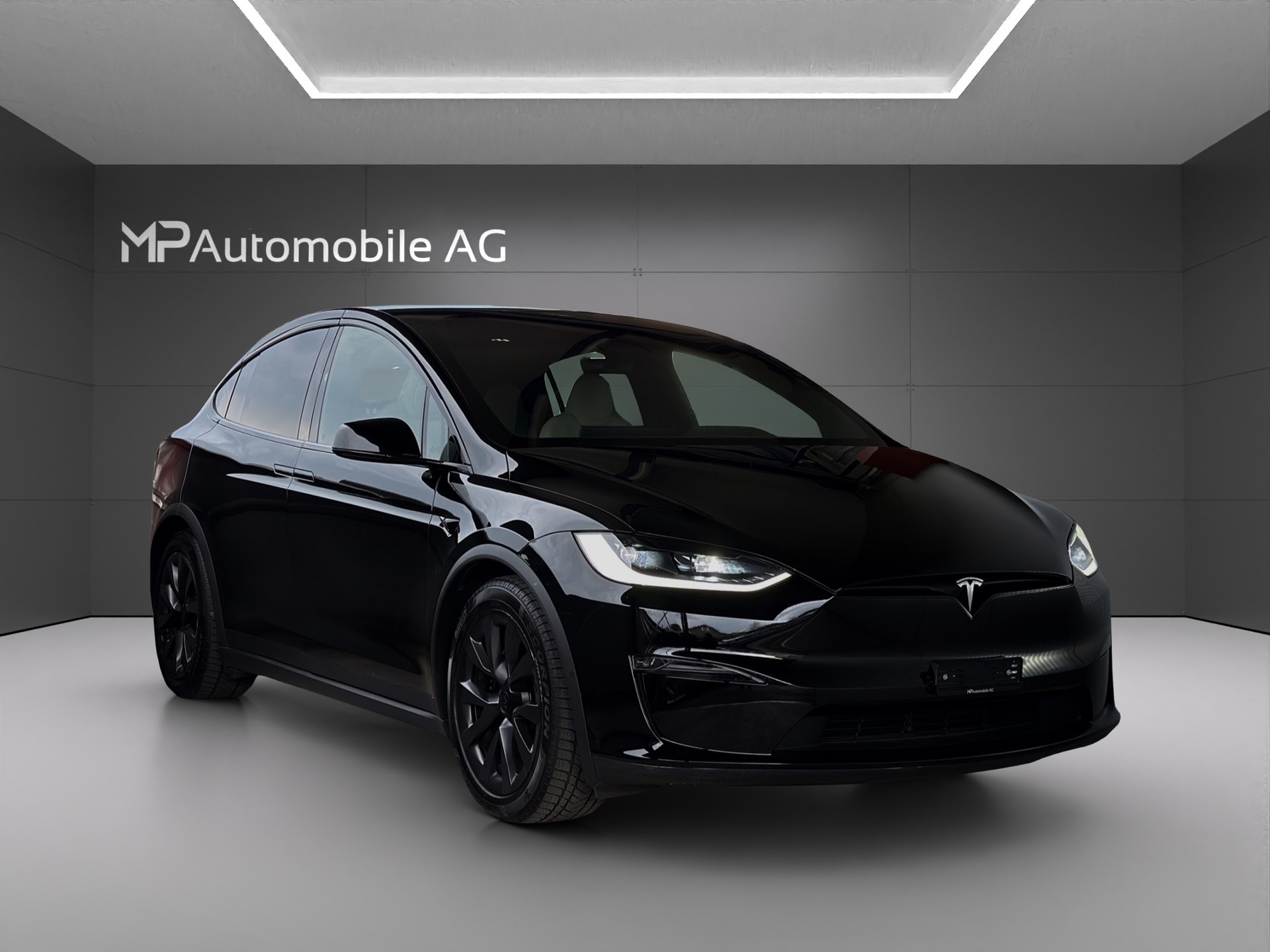 TESLA Model X 100kWh Palladium-image-2