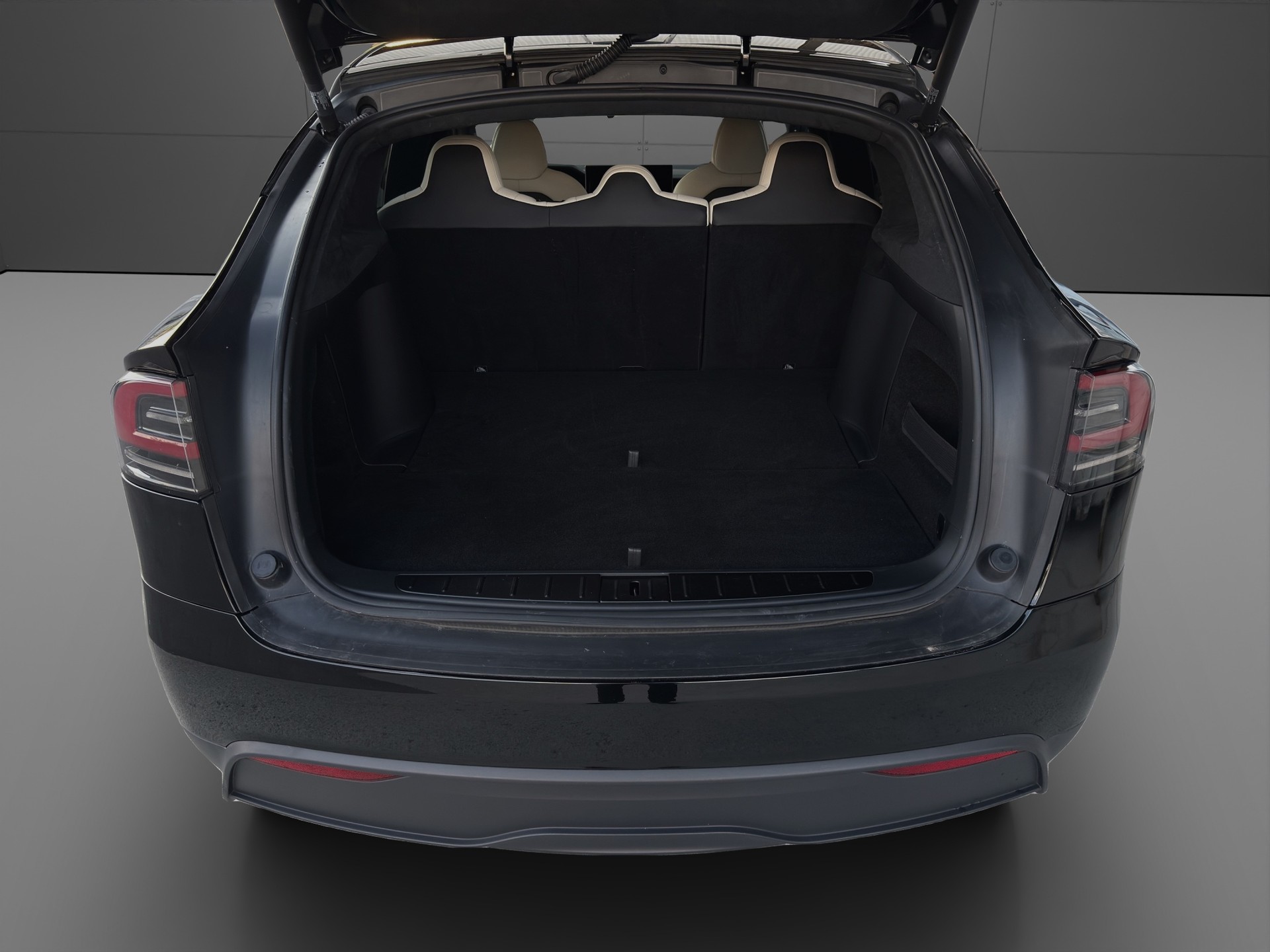 TESLA Model X 100kWh Palladium-image-5