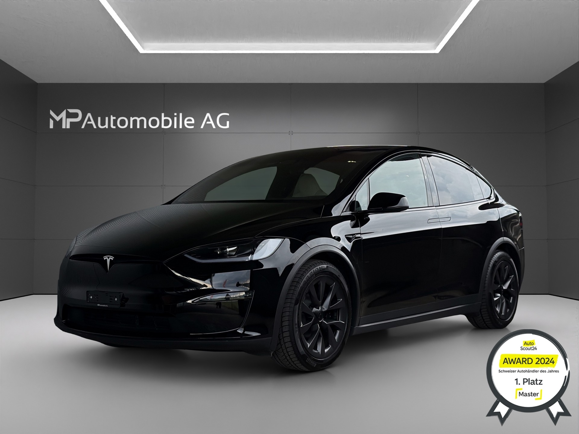 TESLA Model X 100kWh Palladium-image-0
