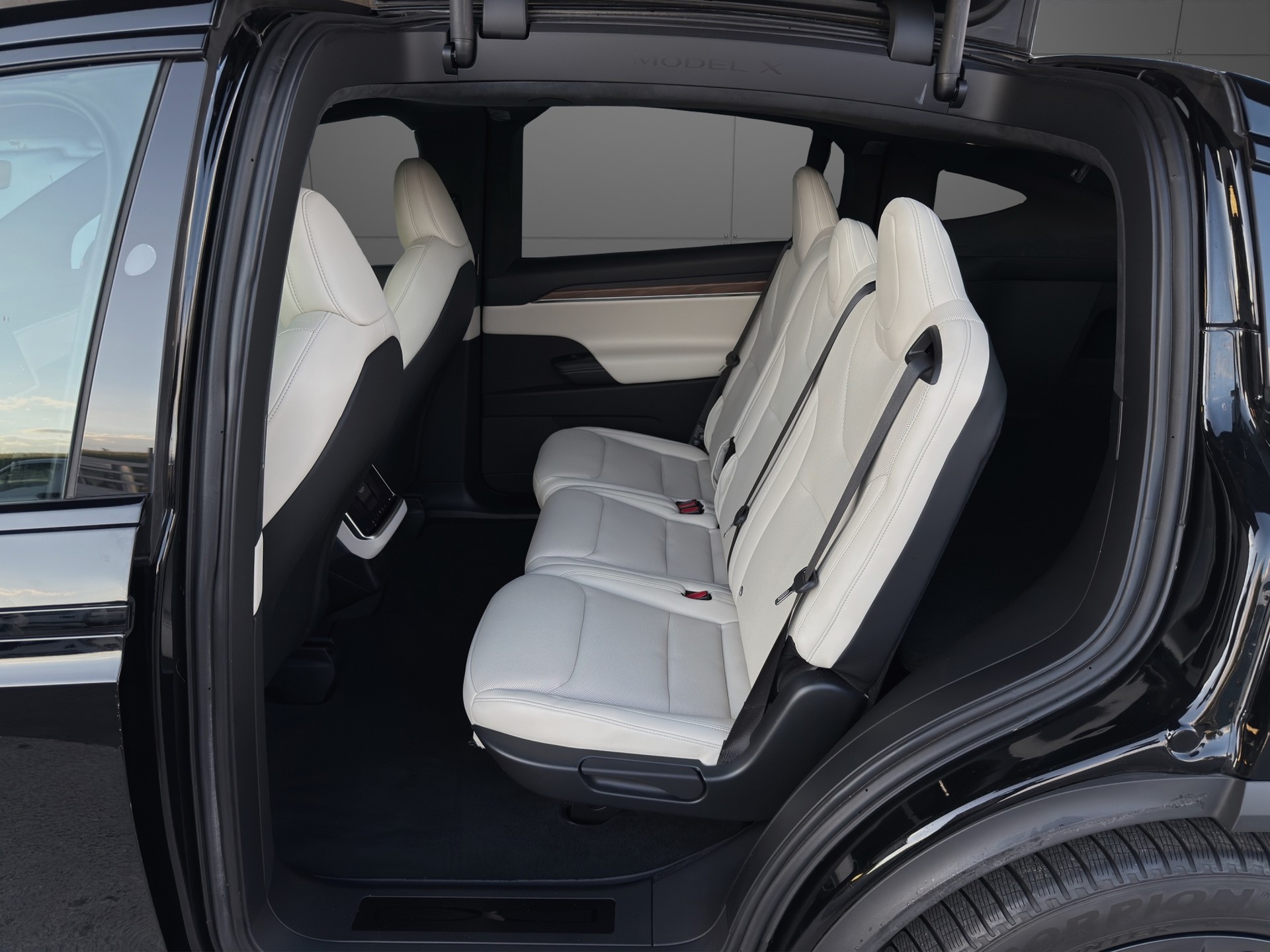 TESLA Model X 100kWh Palladium-image-9