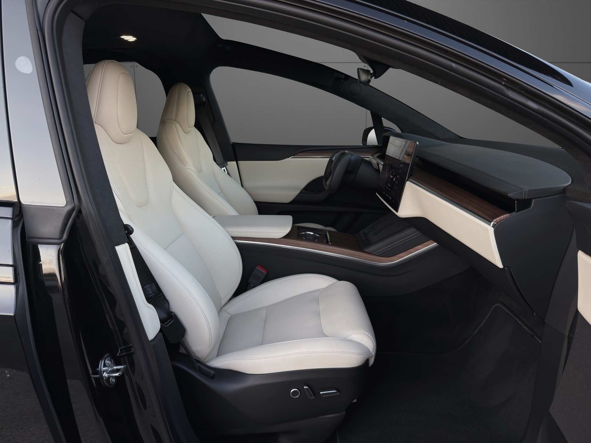 TESLA Model X 100kWh Palladium-image-11
