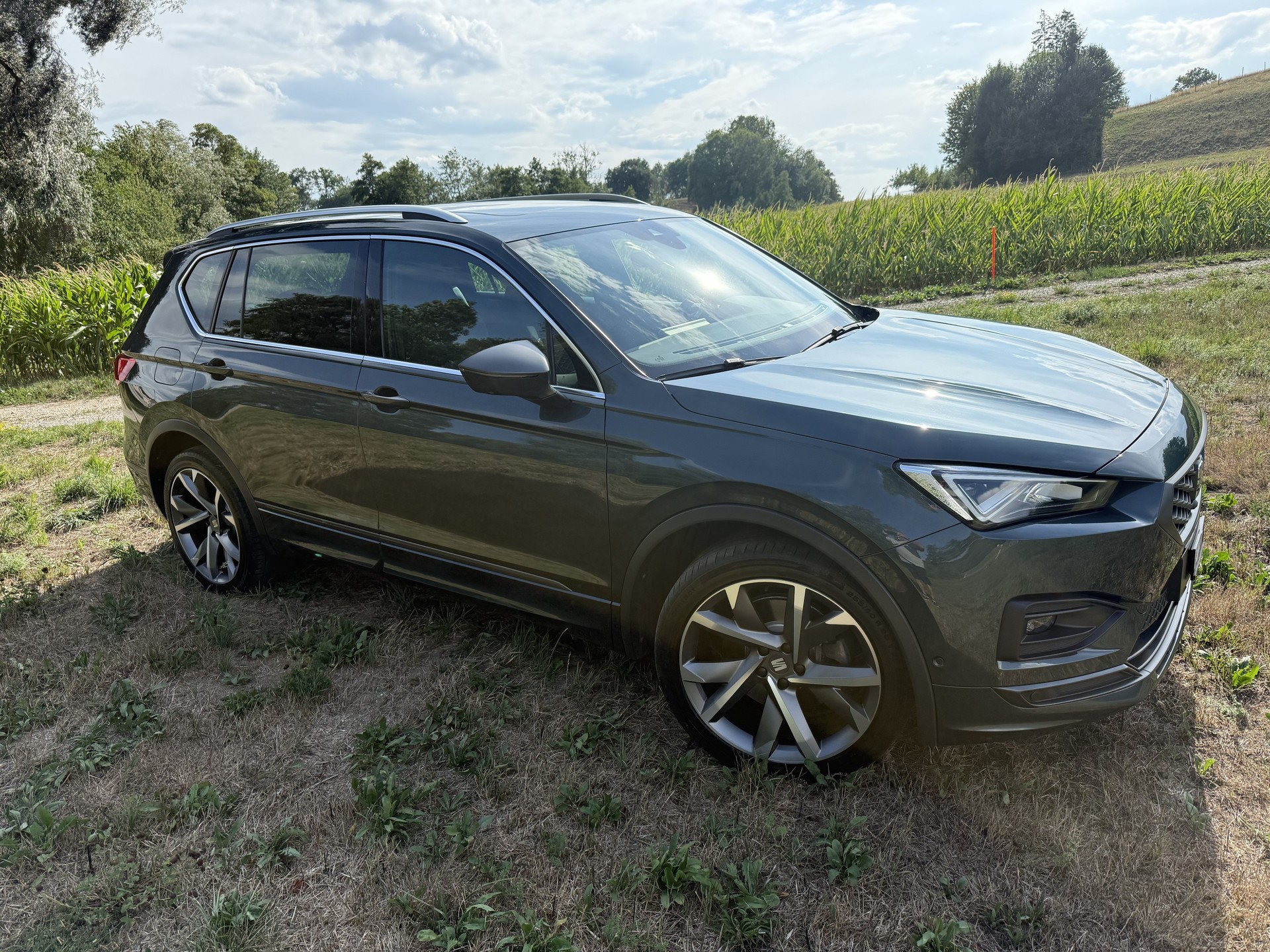 SEAT 2.0 TSI Hola FR 4Drive DSG-image-1