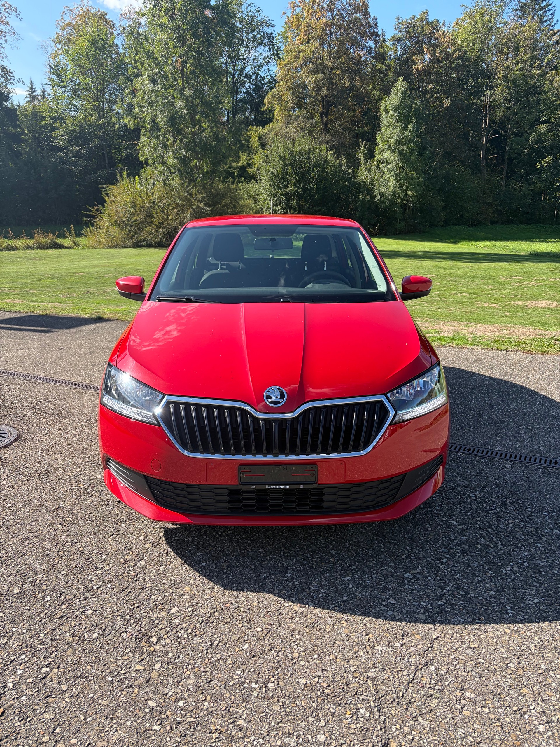 SKODA FABIA-image-0