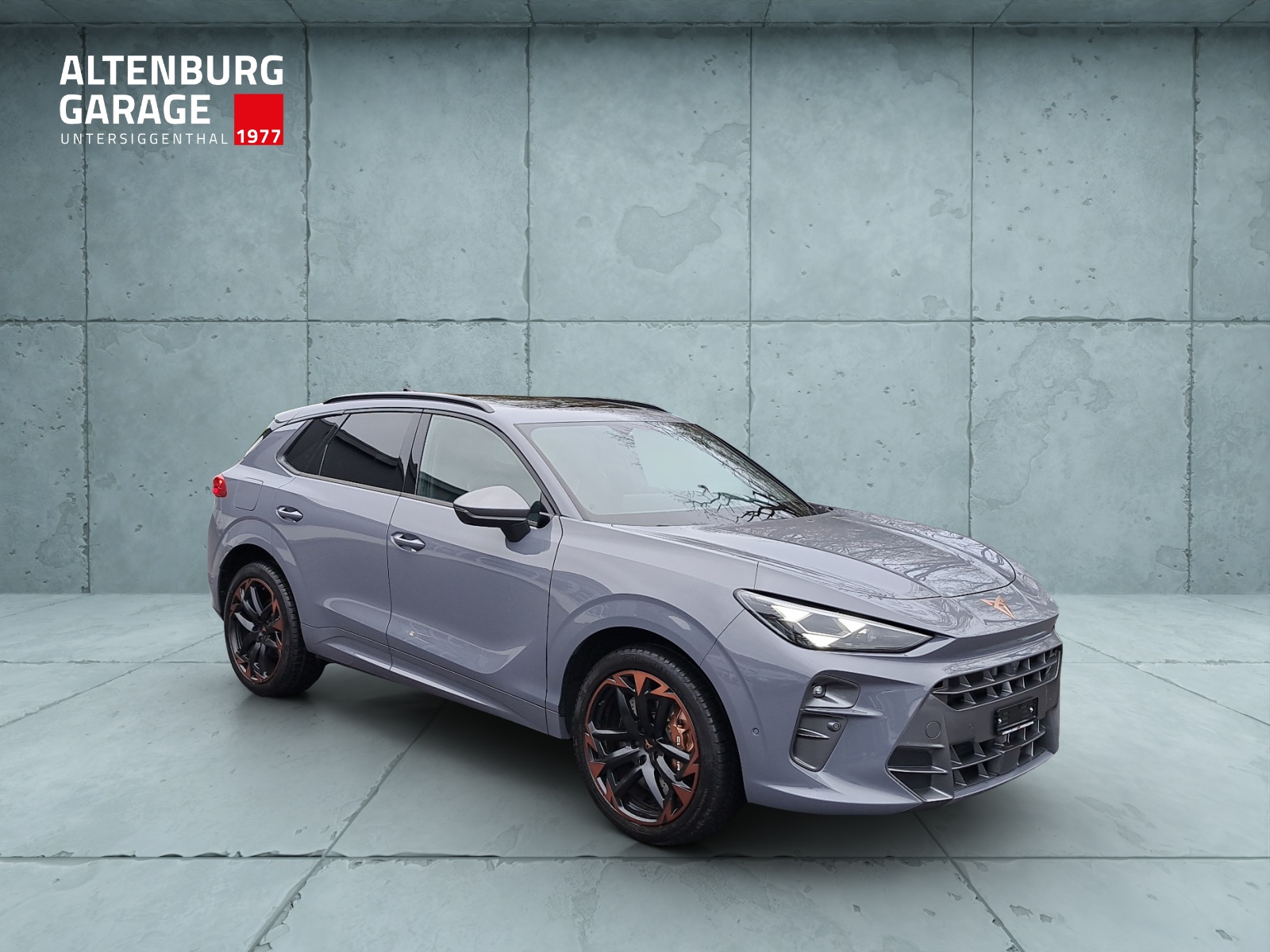 CUPRA Terramar 2.0 TSI VZ 4Drive DSG-image-6