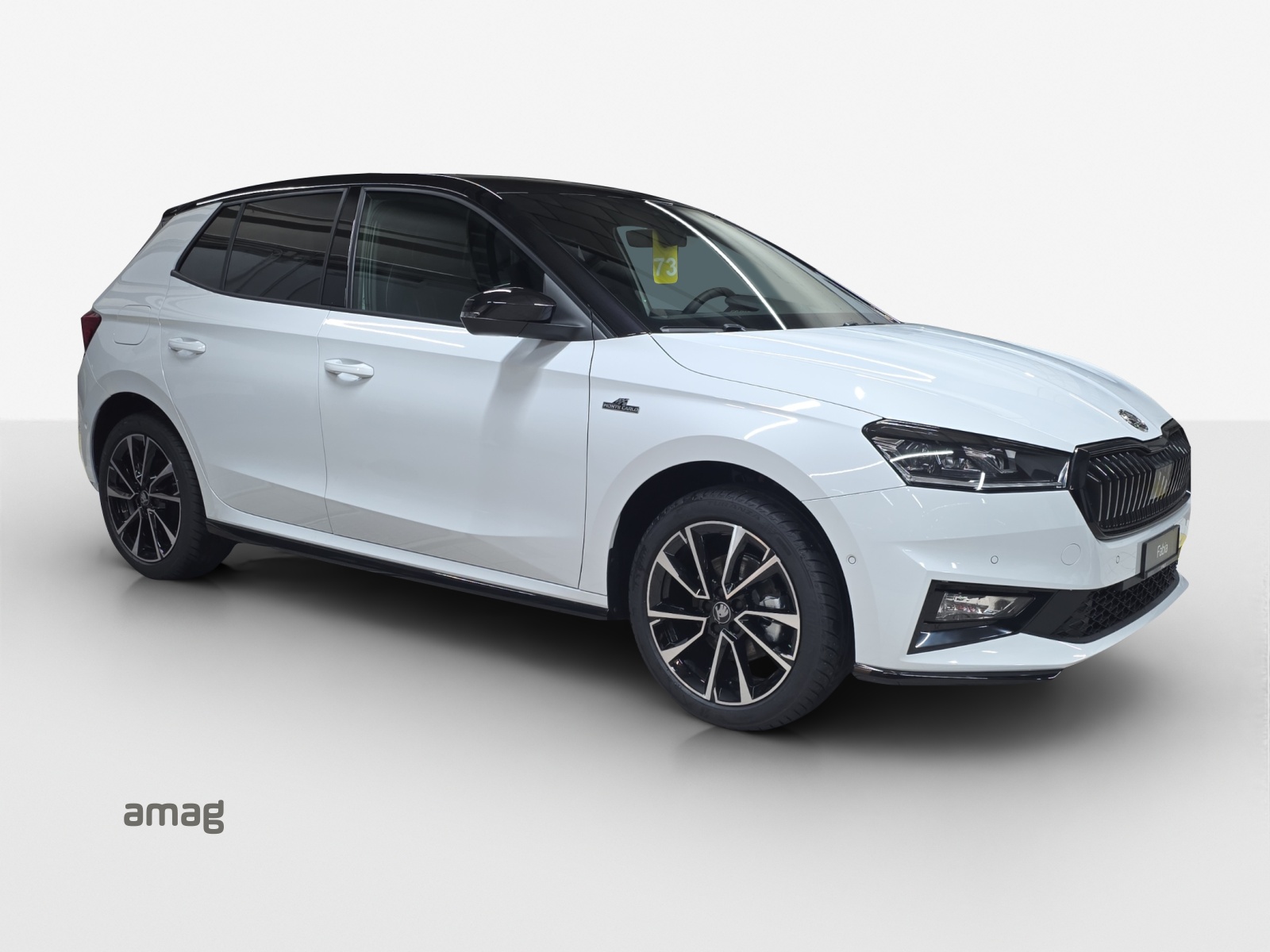 SKODA Fabia 1.0 TSI Monte Carlo DSG-image-5