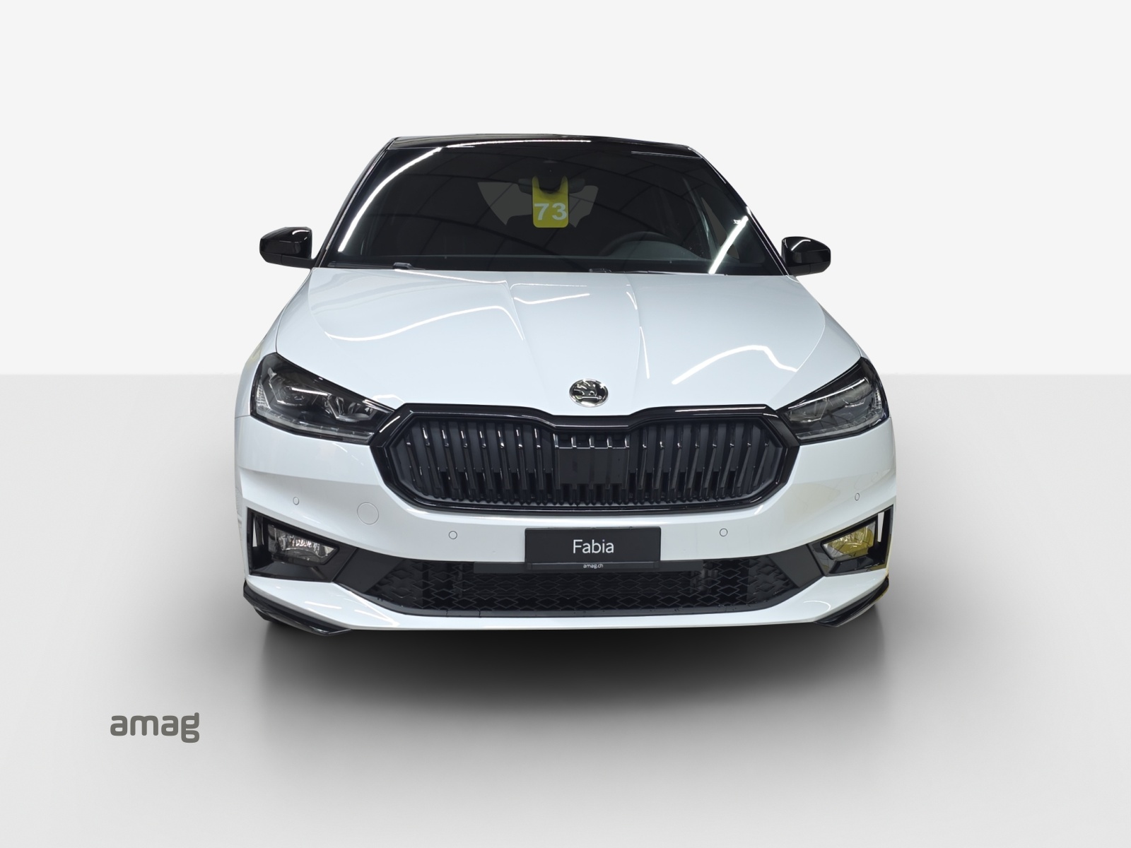 SKODA Fabia 1.0 TSI Monte Carlo DSG-image-6