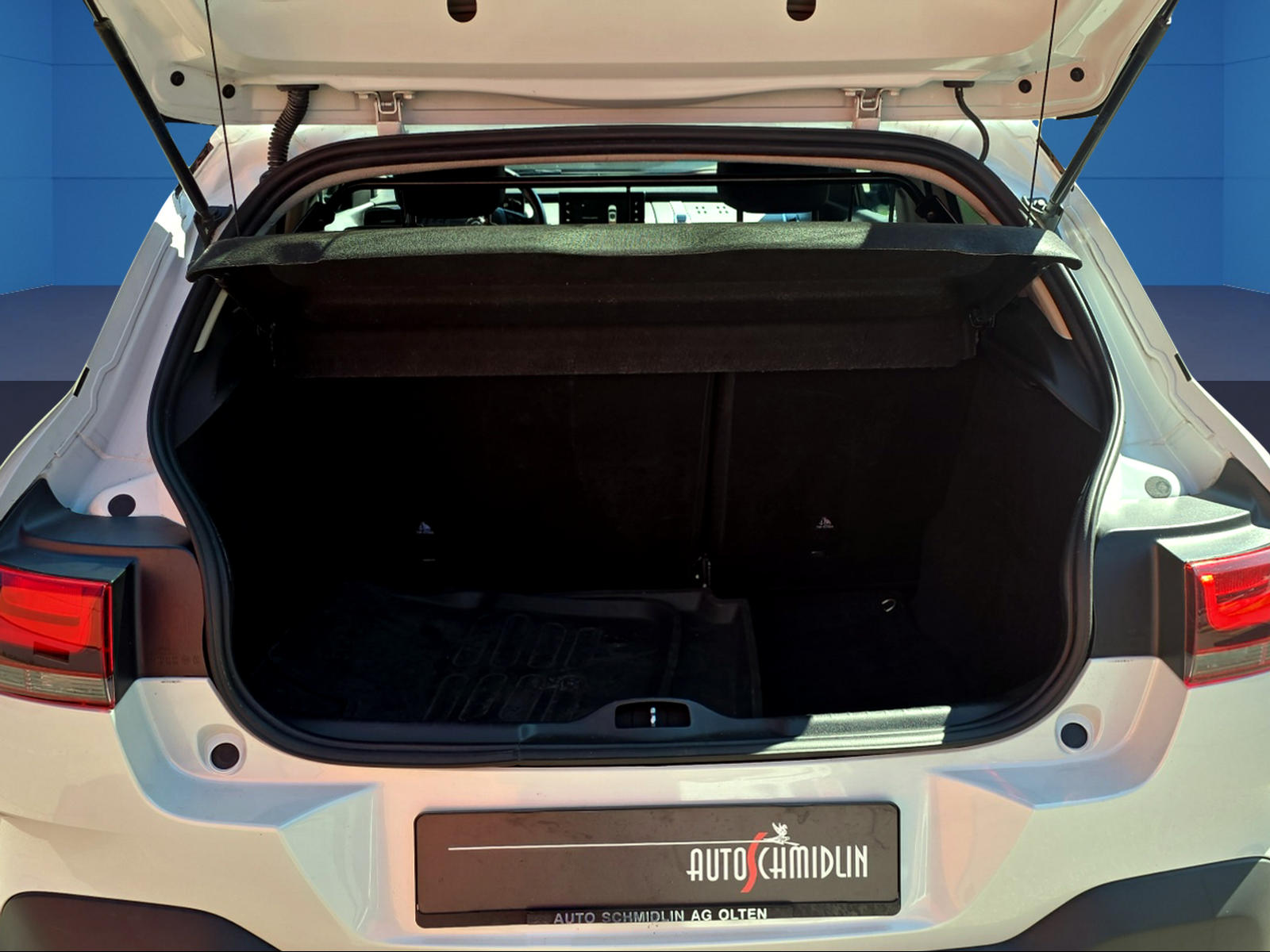 CITROEN C4 Cactus 1.2 e-THP Shine EAT6-image-8