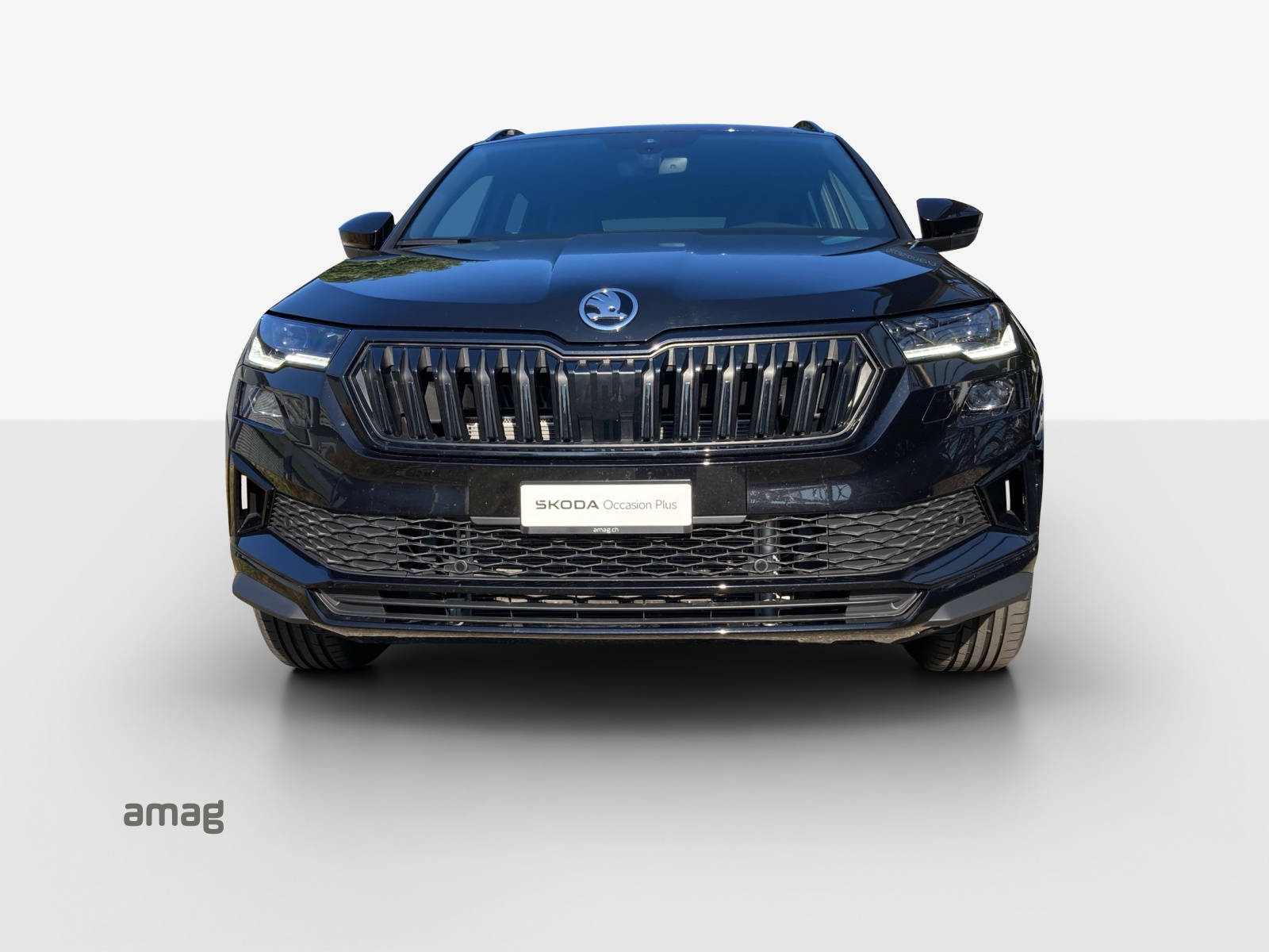 SKODA Karoq 2.0 TSI SportLine 4x4 DSG-image-6