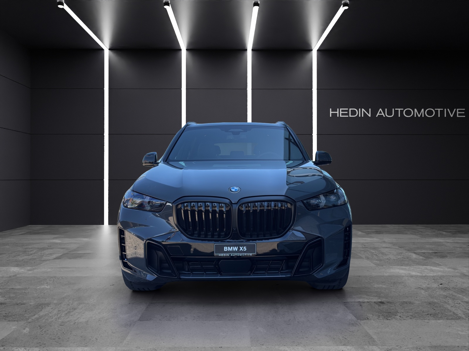 BMW X5 xDrive30d-image-7