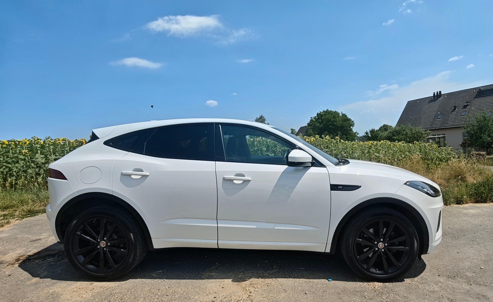 JAGUAR 2.0 D 180 R-Dynamic SE AWD-image-0