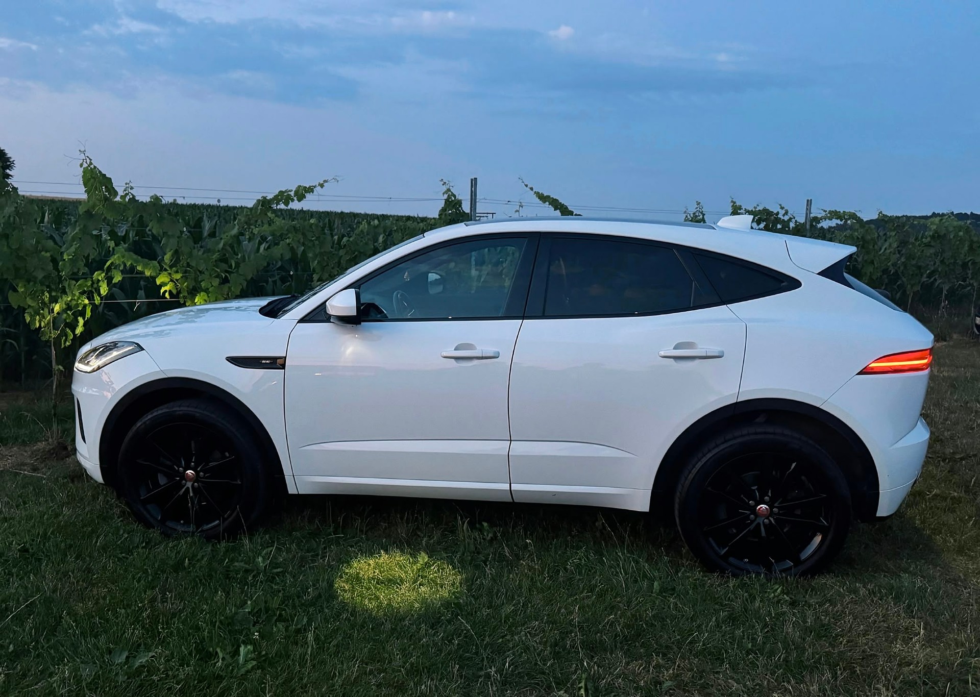 JAGUAR 2.0 D 180 R-Dynamic SE AWD-image-2