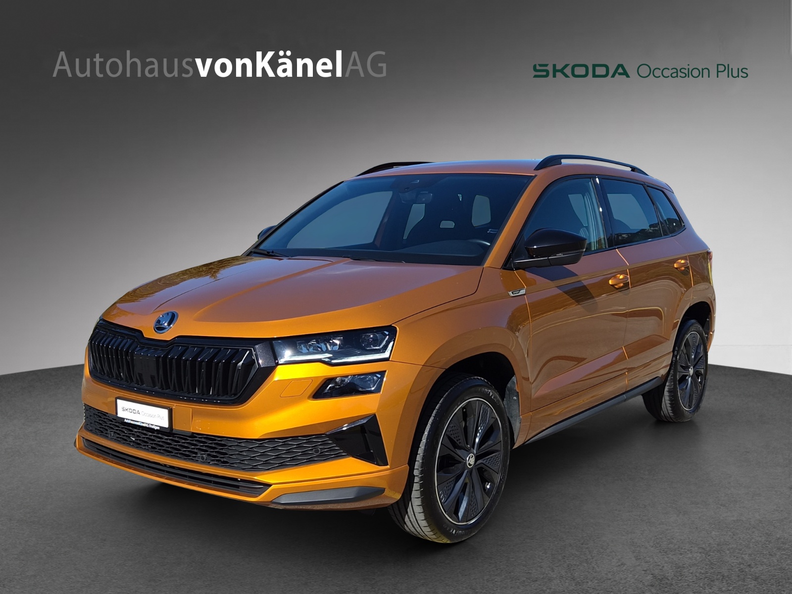 SKODA Karoq 1.5 TSI SportLine DSG-image-13