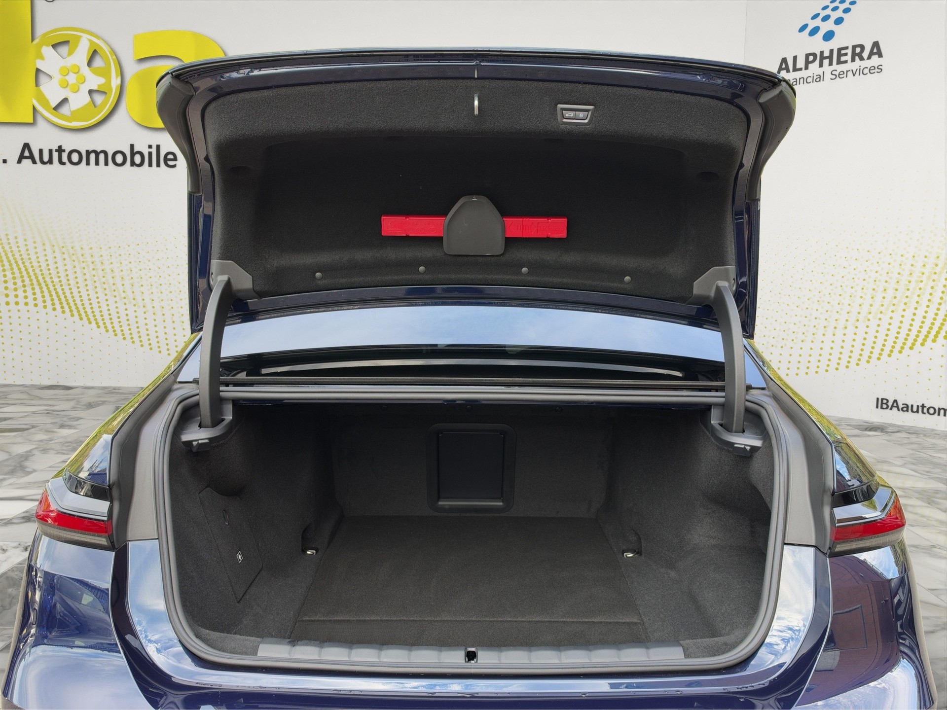 BMW i7 xDrive 60 M Sport Pro (CH) INDIVIDUAL-image-8