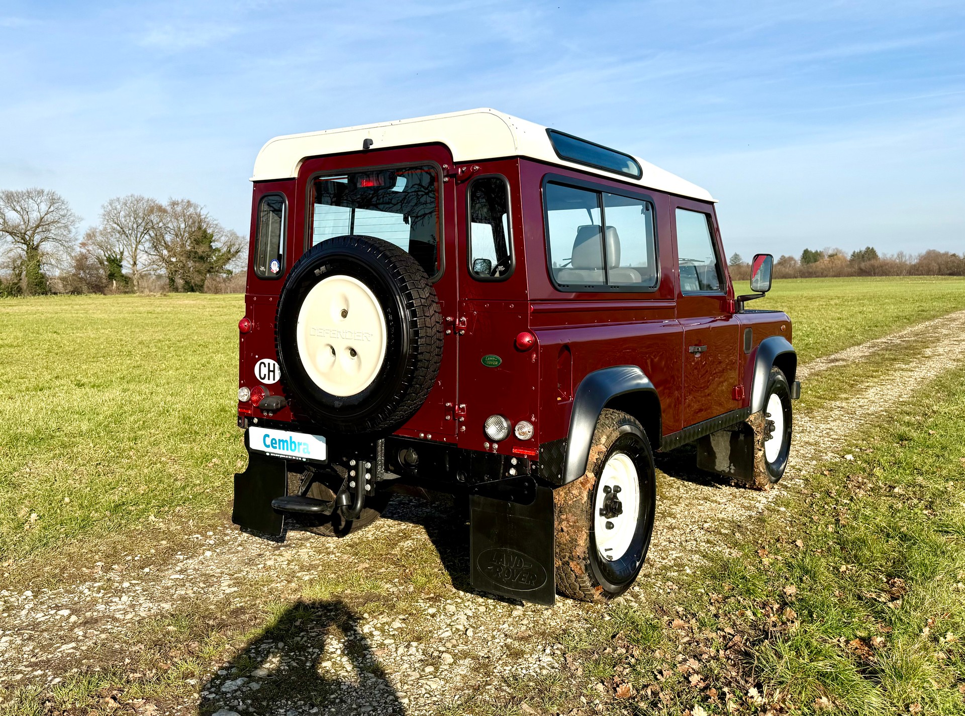 LAND ROVER Defender 90 2.5 Td5-image-3
