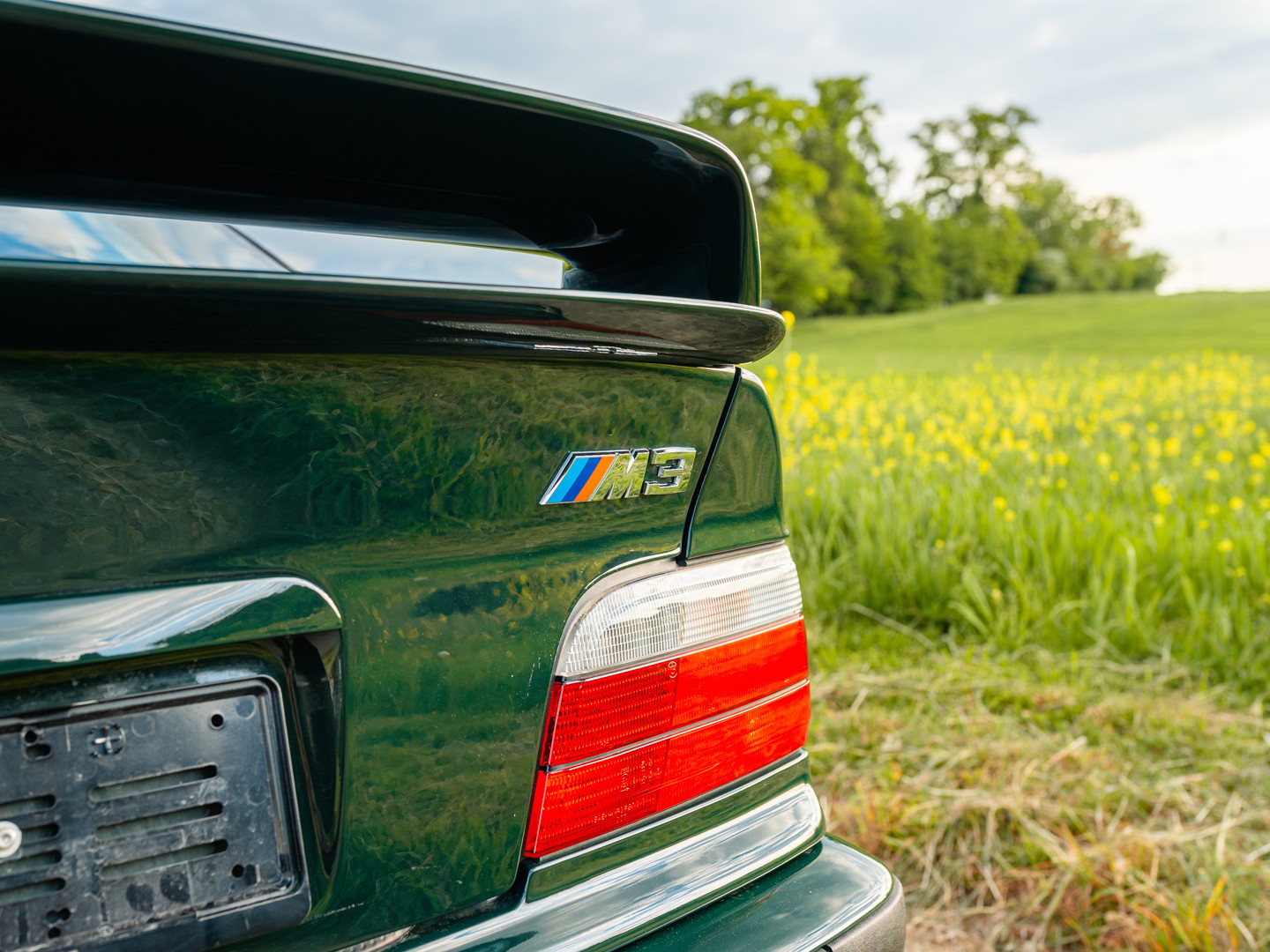 BMW M3 GT E36 Veteran-image-9
