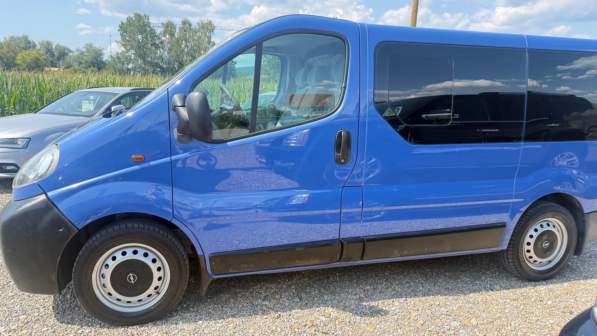 OPEL Vivaro 2.5 CDTI-image-24