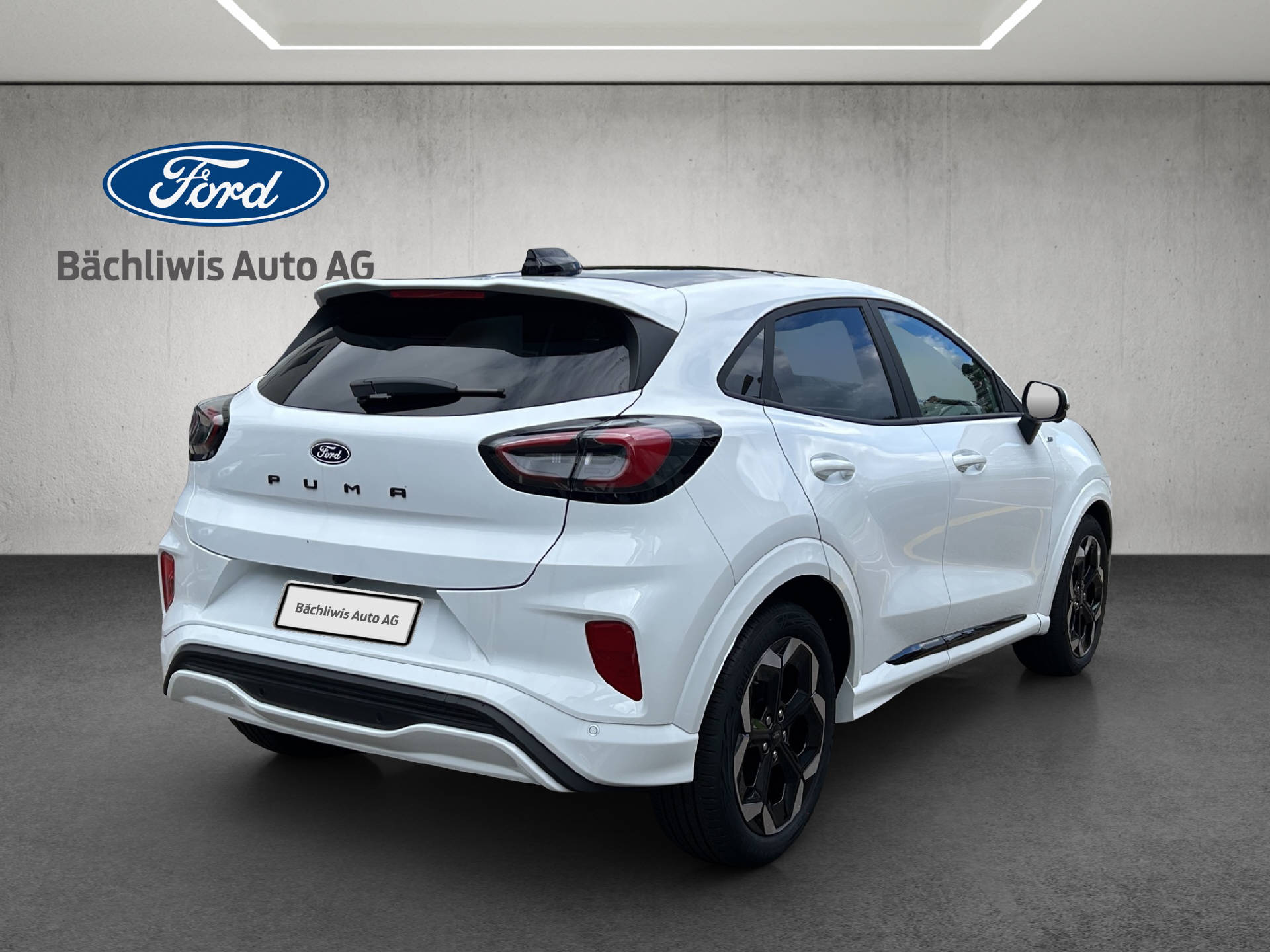 FORD Puma 1.0 EcoB Hybrid 125 ST-Line X-image-4