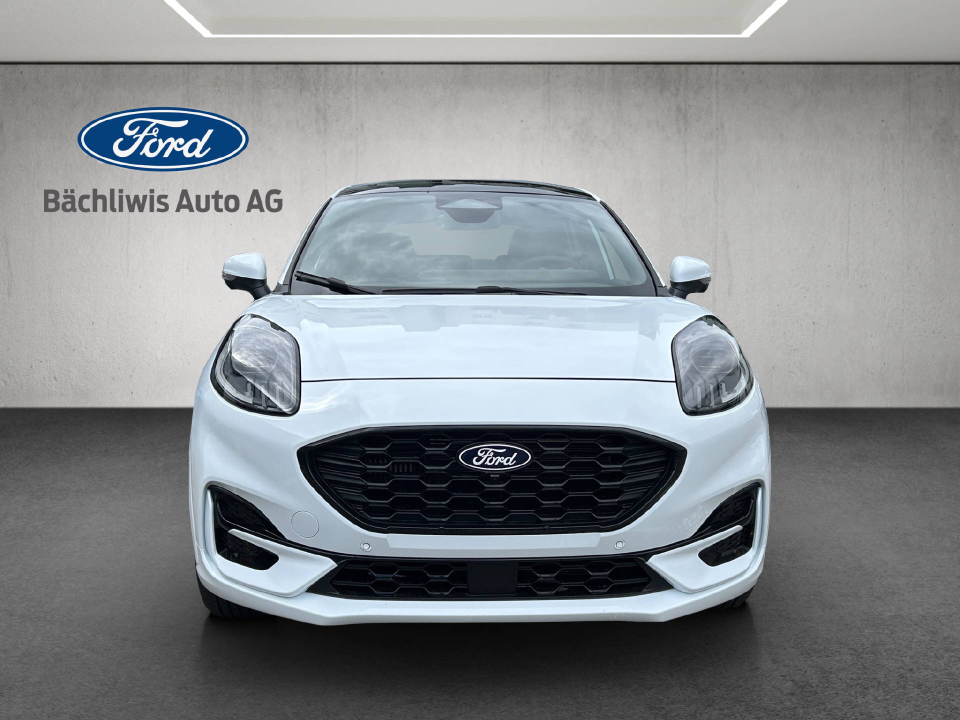 FORD Puma 1.0 EcoB Hybrid 125 ST-Line X-image-7