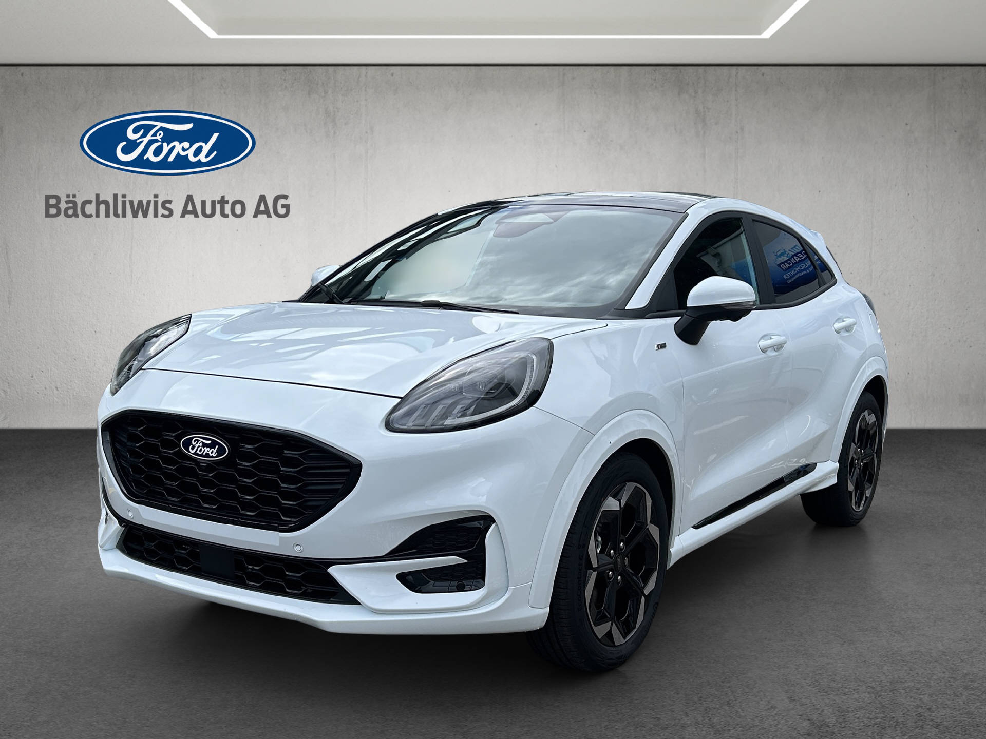 FORD Puma 1.0 EcoB Hybrid 125 ST-Line X-image-0