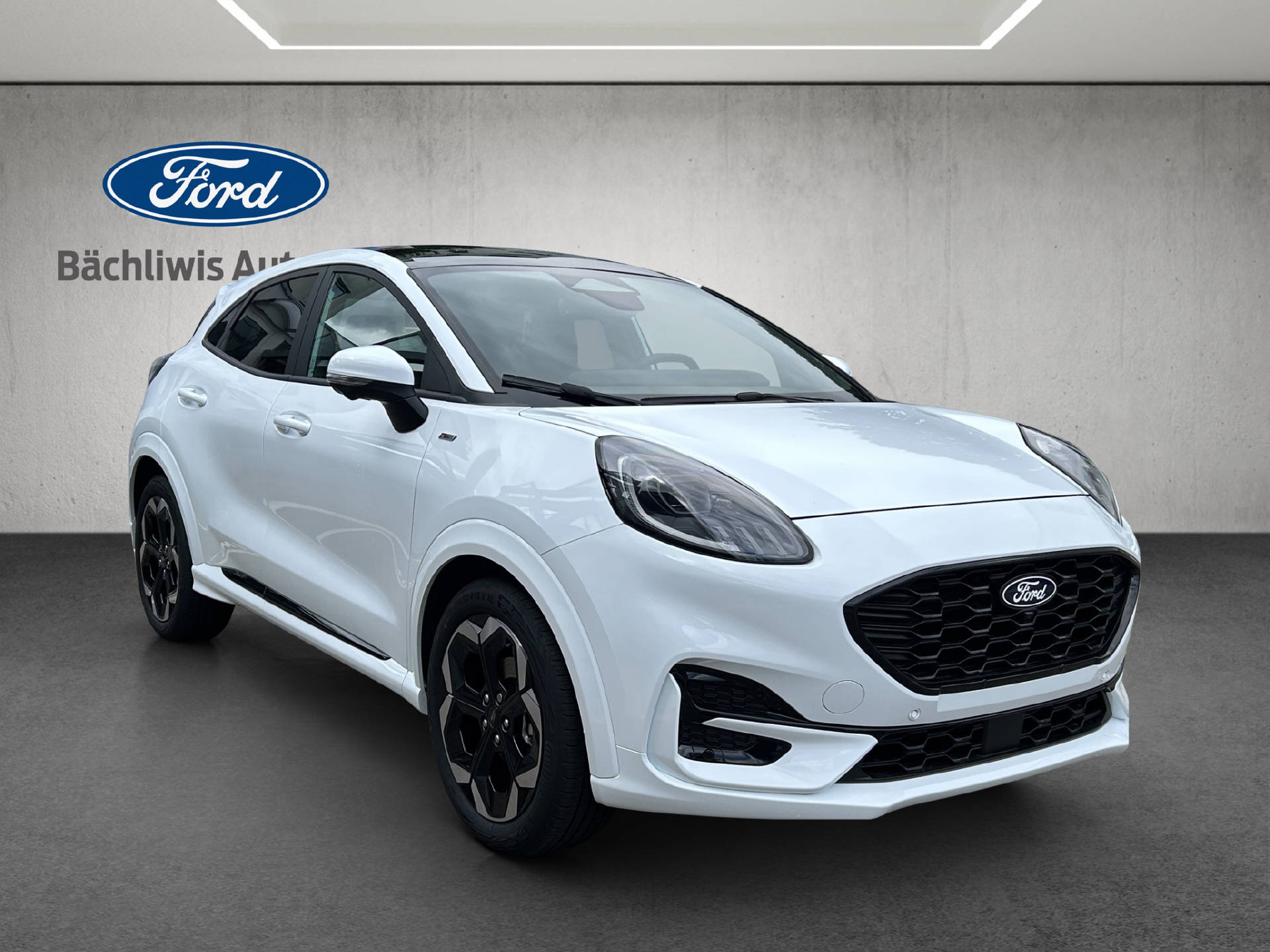 FORD Puma 1.0 EcoB Hybrid 125 ST-Line X-image-6