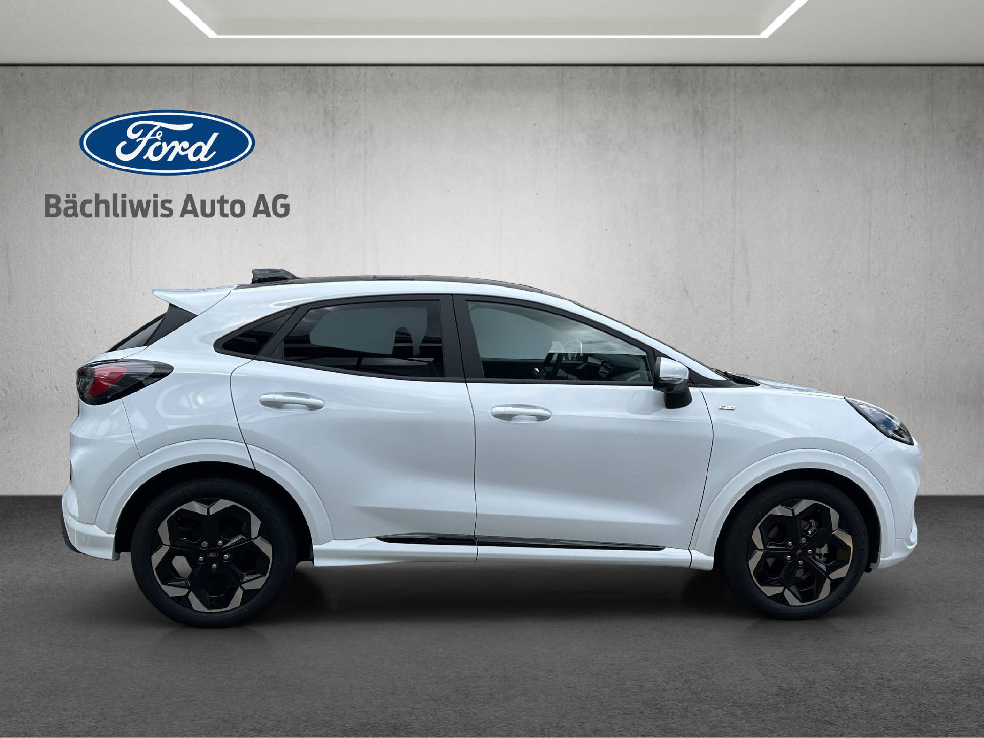 FORD Puma 1.0 EcoB Hybrid 125 ST-Line X-image-5
