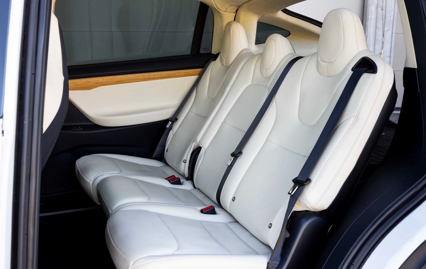 TESLA Model X 100 D-image-2