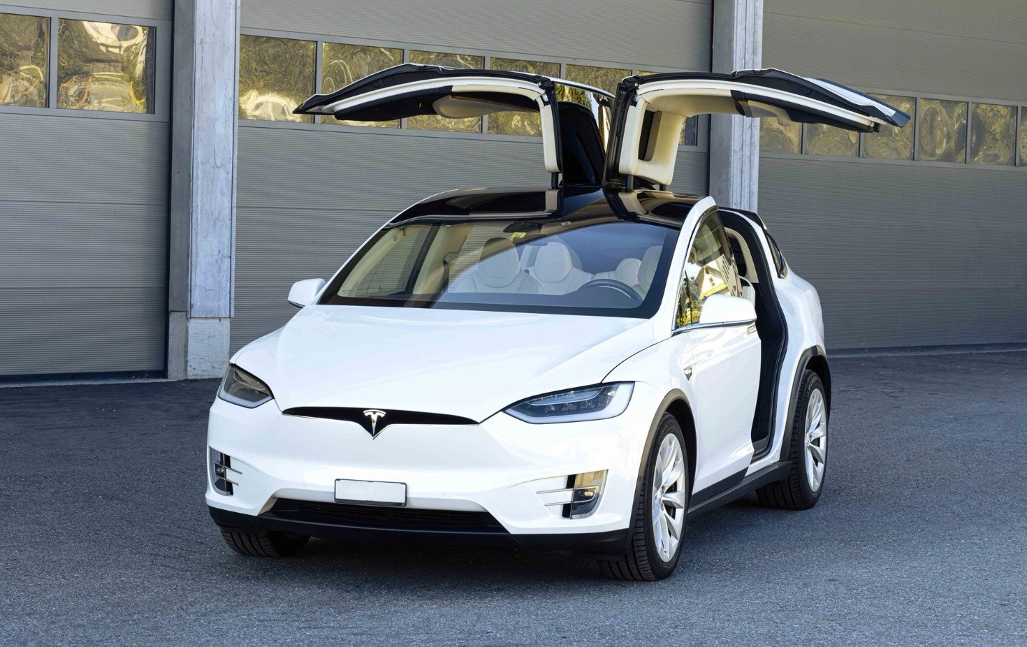 TESLA Model X 100 D-image-0