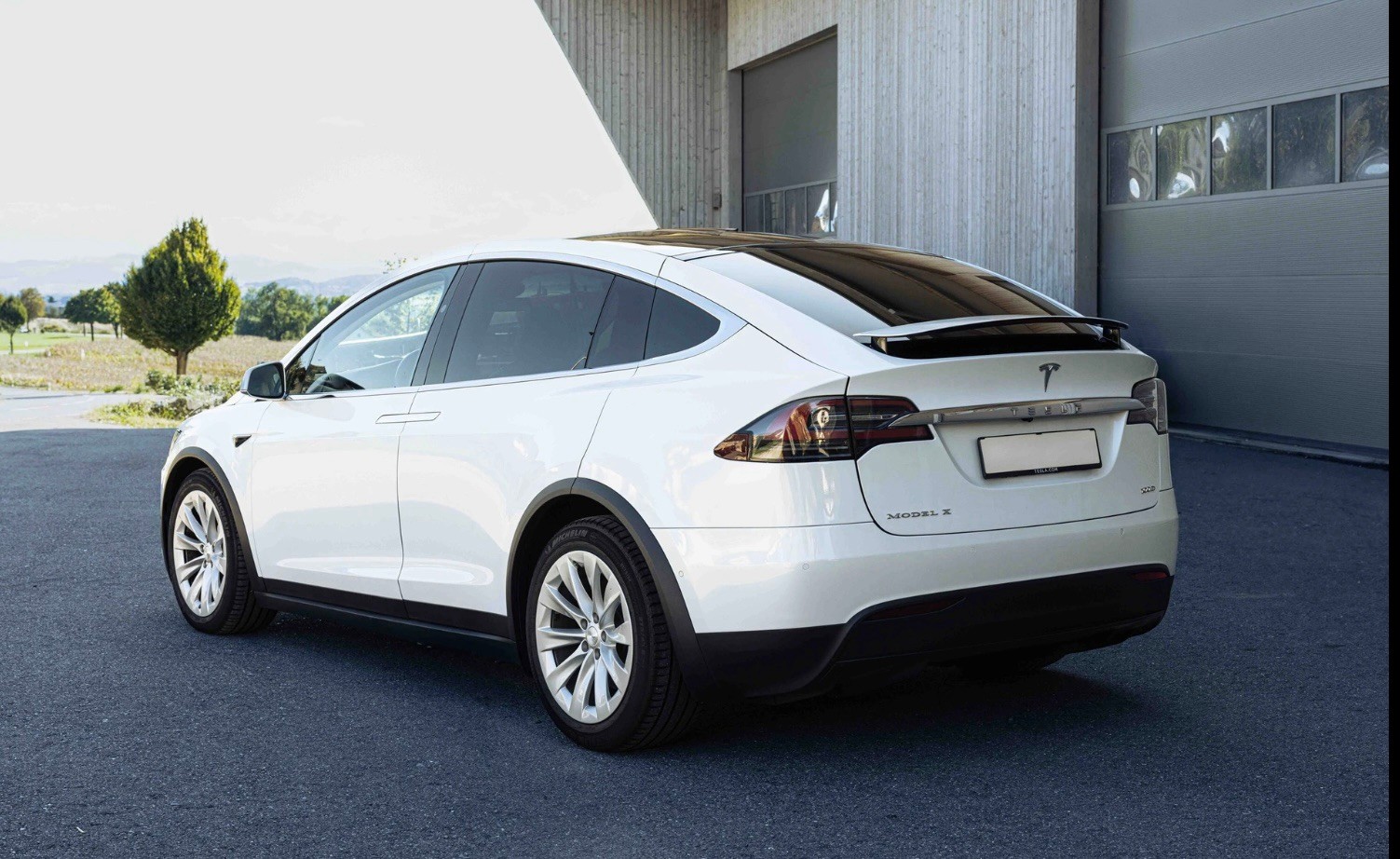 TESLA Model X 100 D-image-5