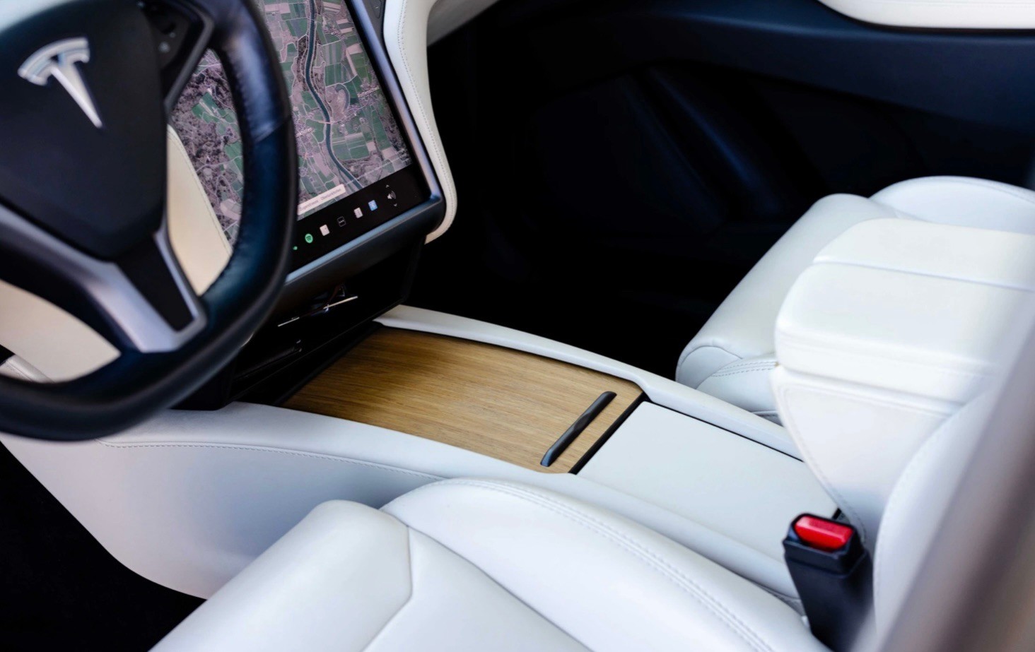 TESLA Model X 100 D-image-4