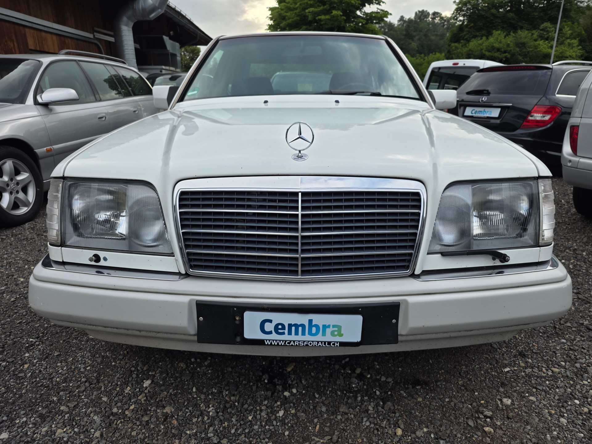 MERCEDES-BENZ E 250 D Turbo-image-2