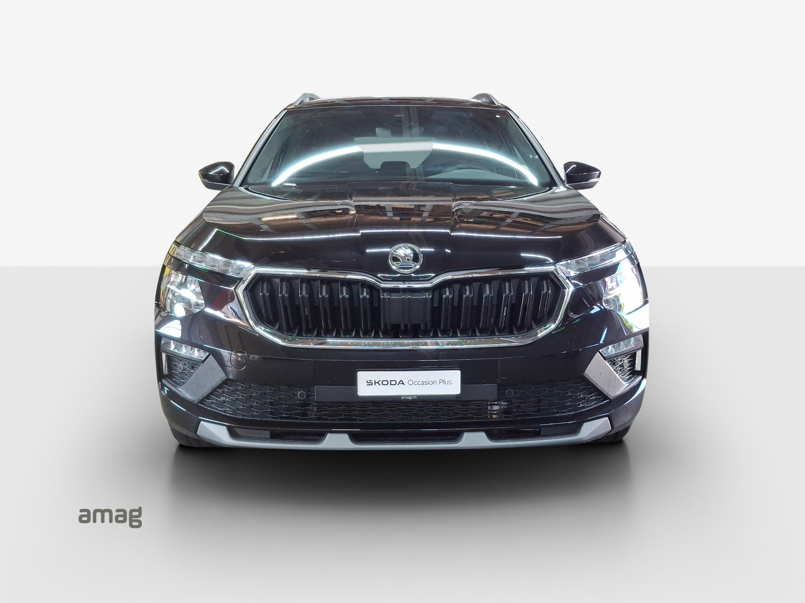 SKODA Kamiq 1.0 TSI Dynamic DSG-image-5