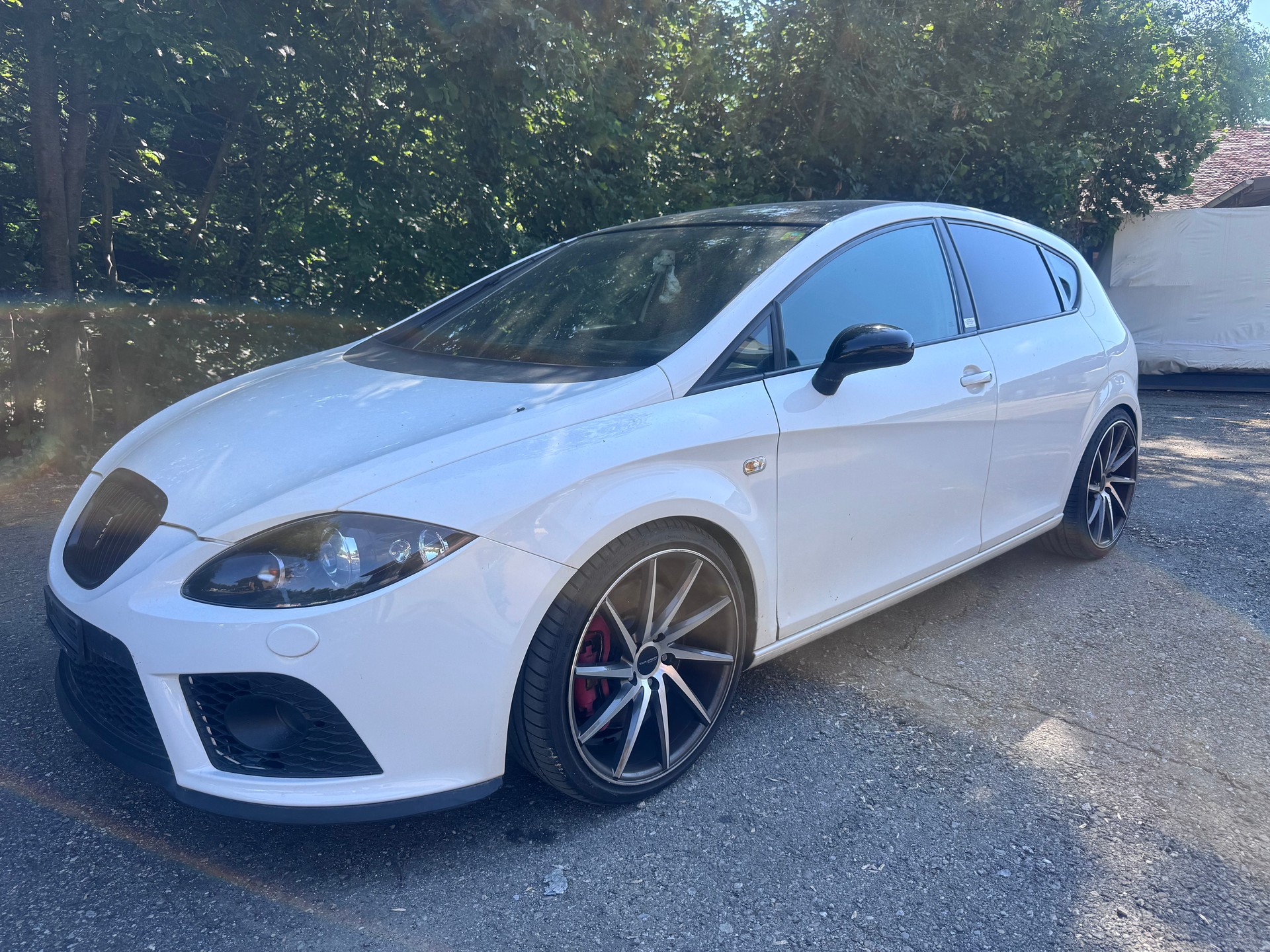 SEAT Leon 2.0 TSI World Champion Edition-image-0